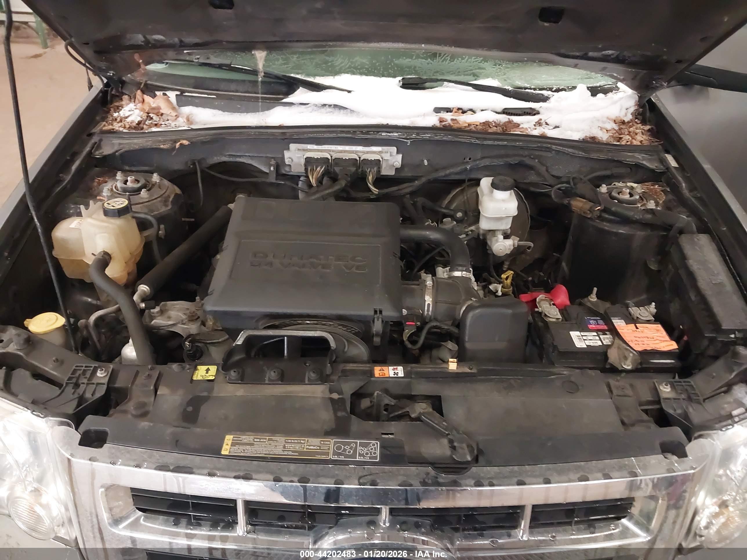 FORD ESCAPE image 10