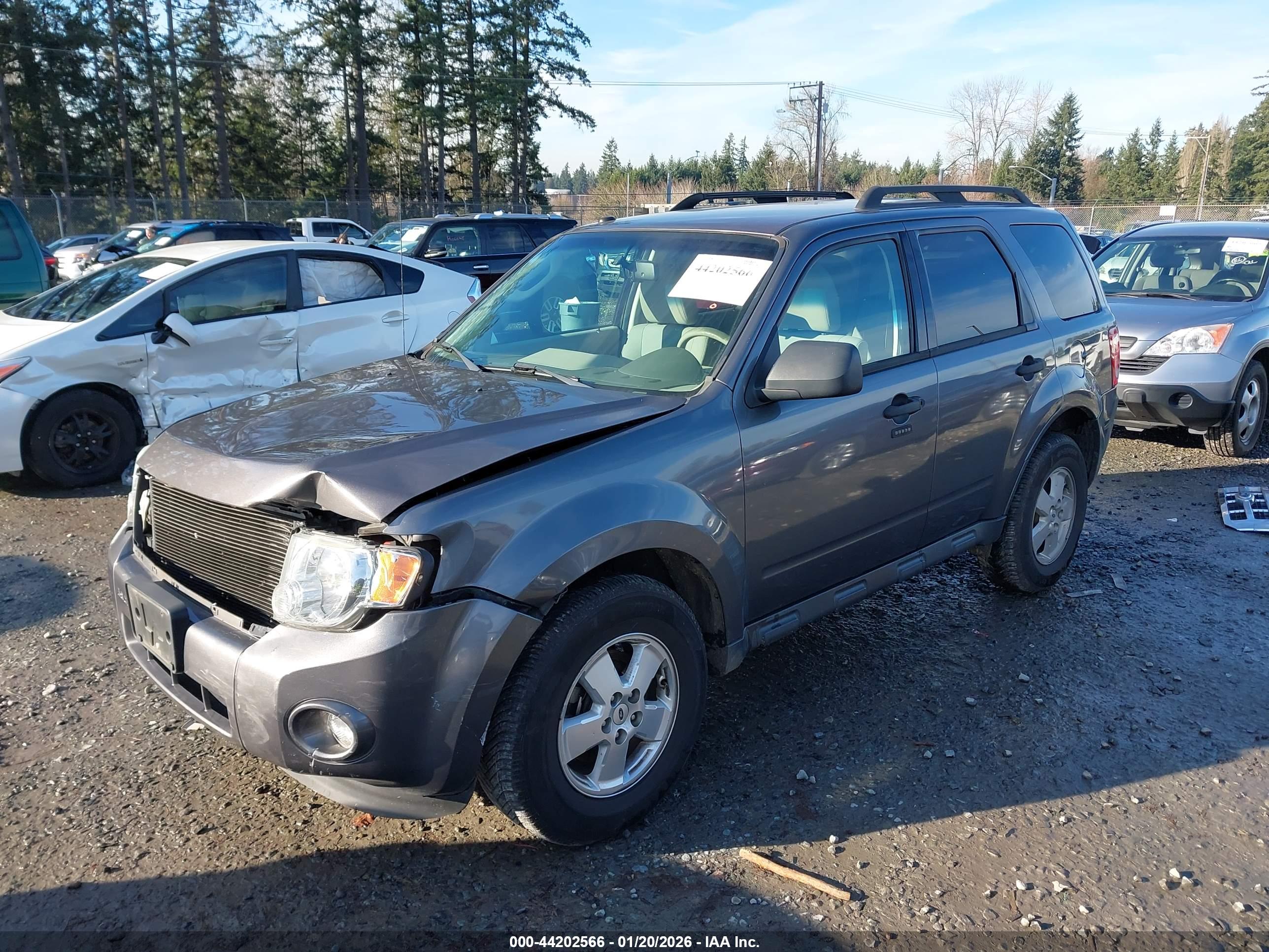 FORD ESCAPE image 2