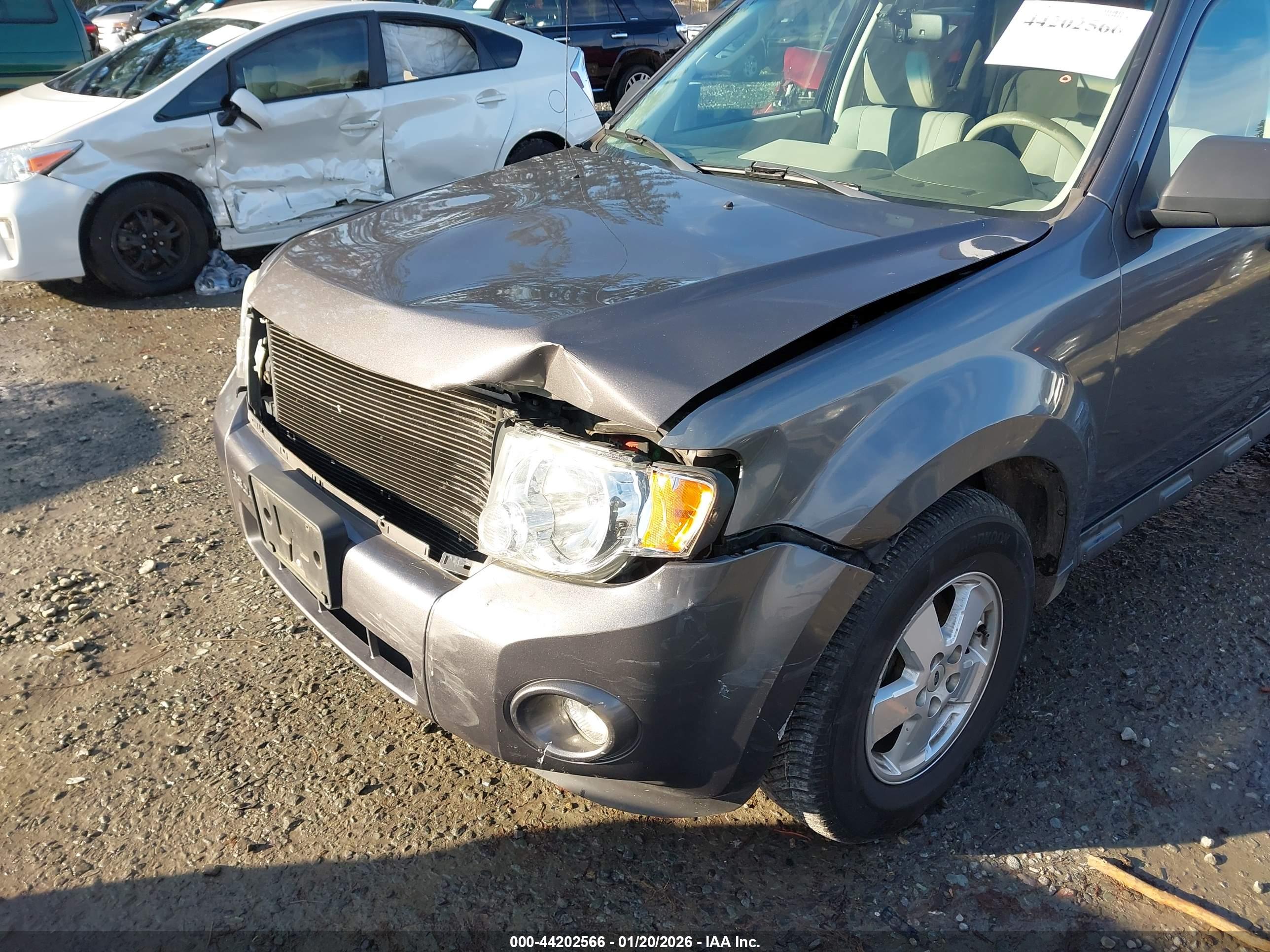 FORD ESCAPE image 6