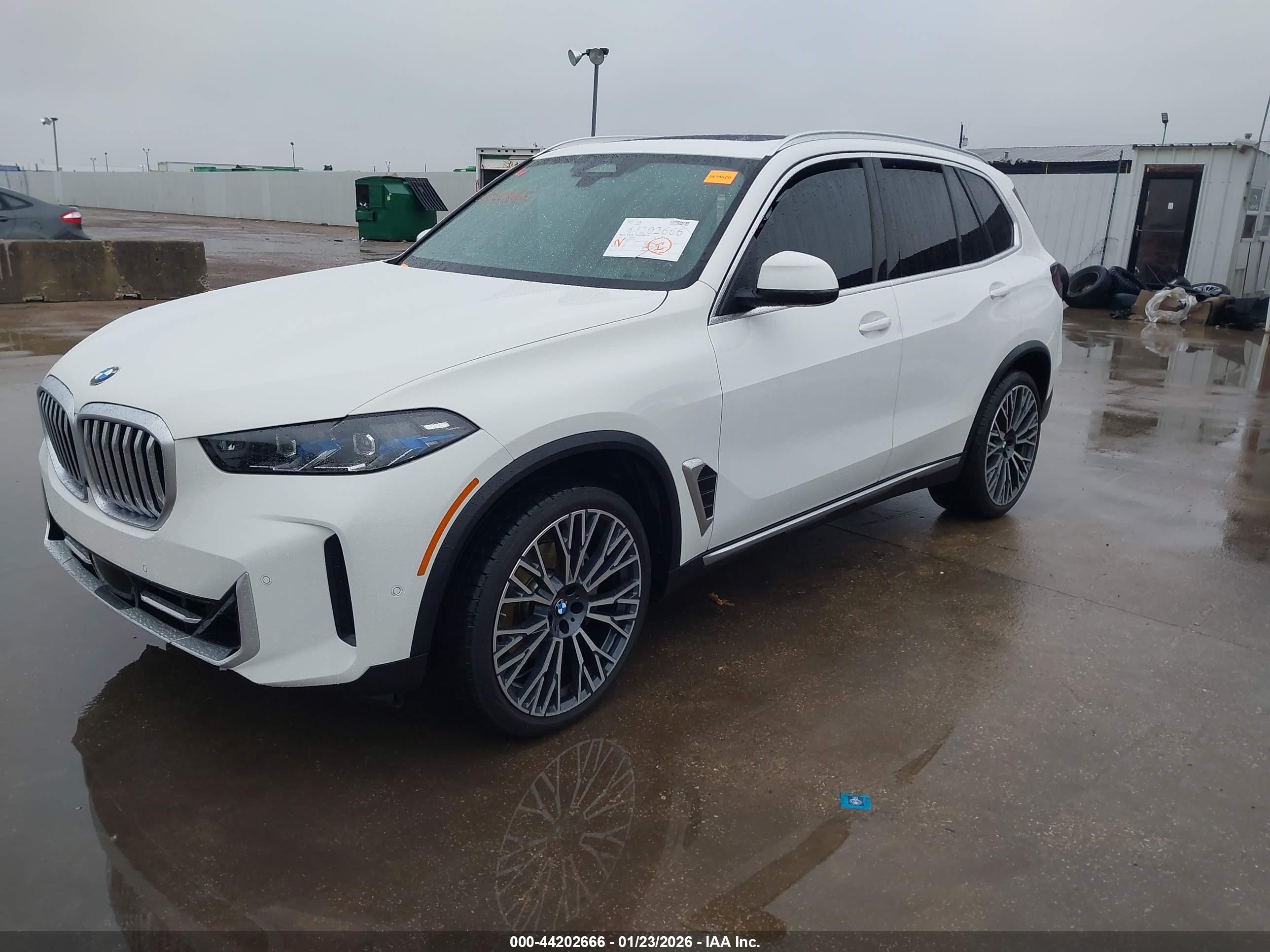 BMW X5 image 2