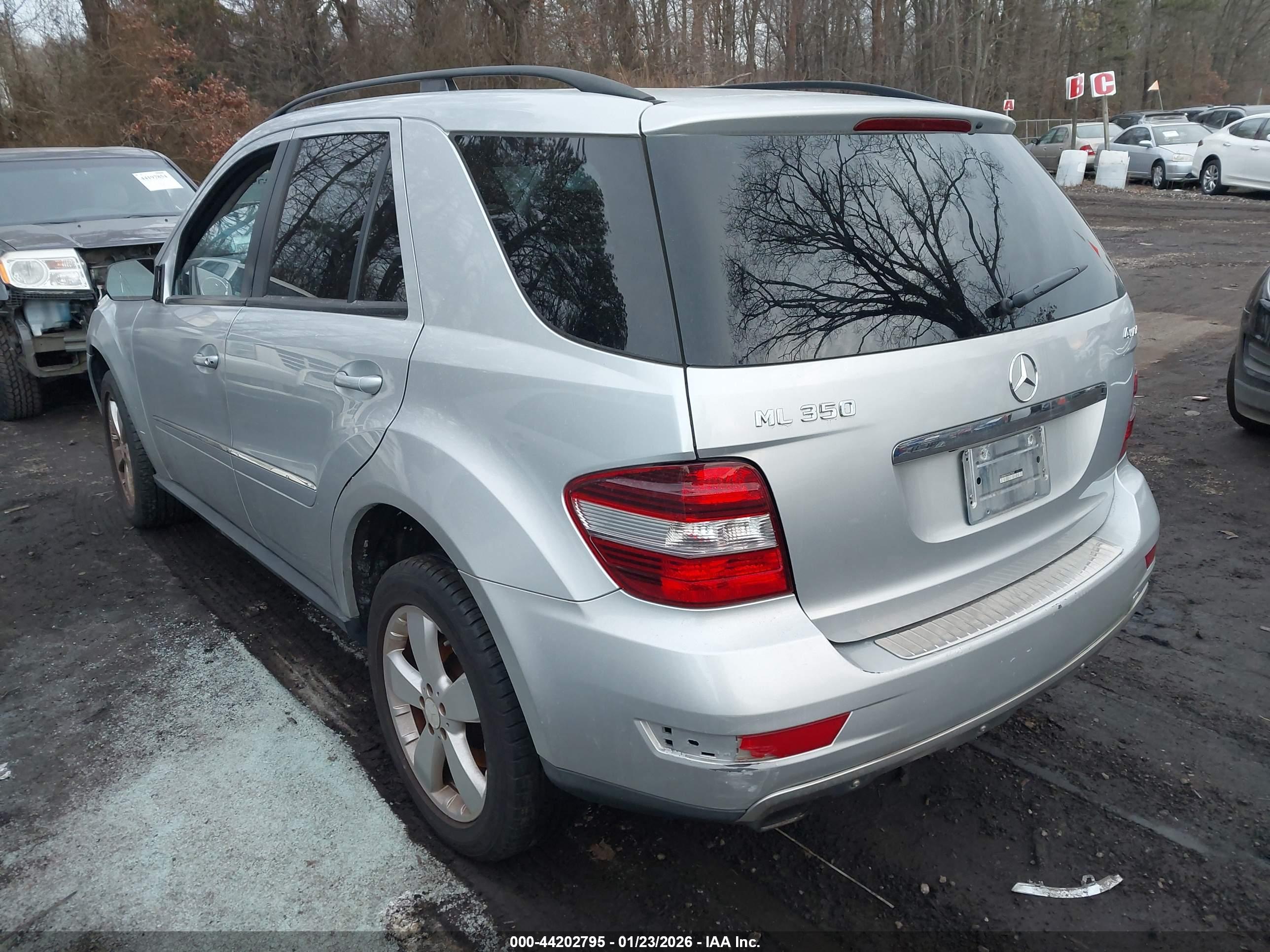 MERCEDES-BENZ ML image 3