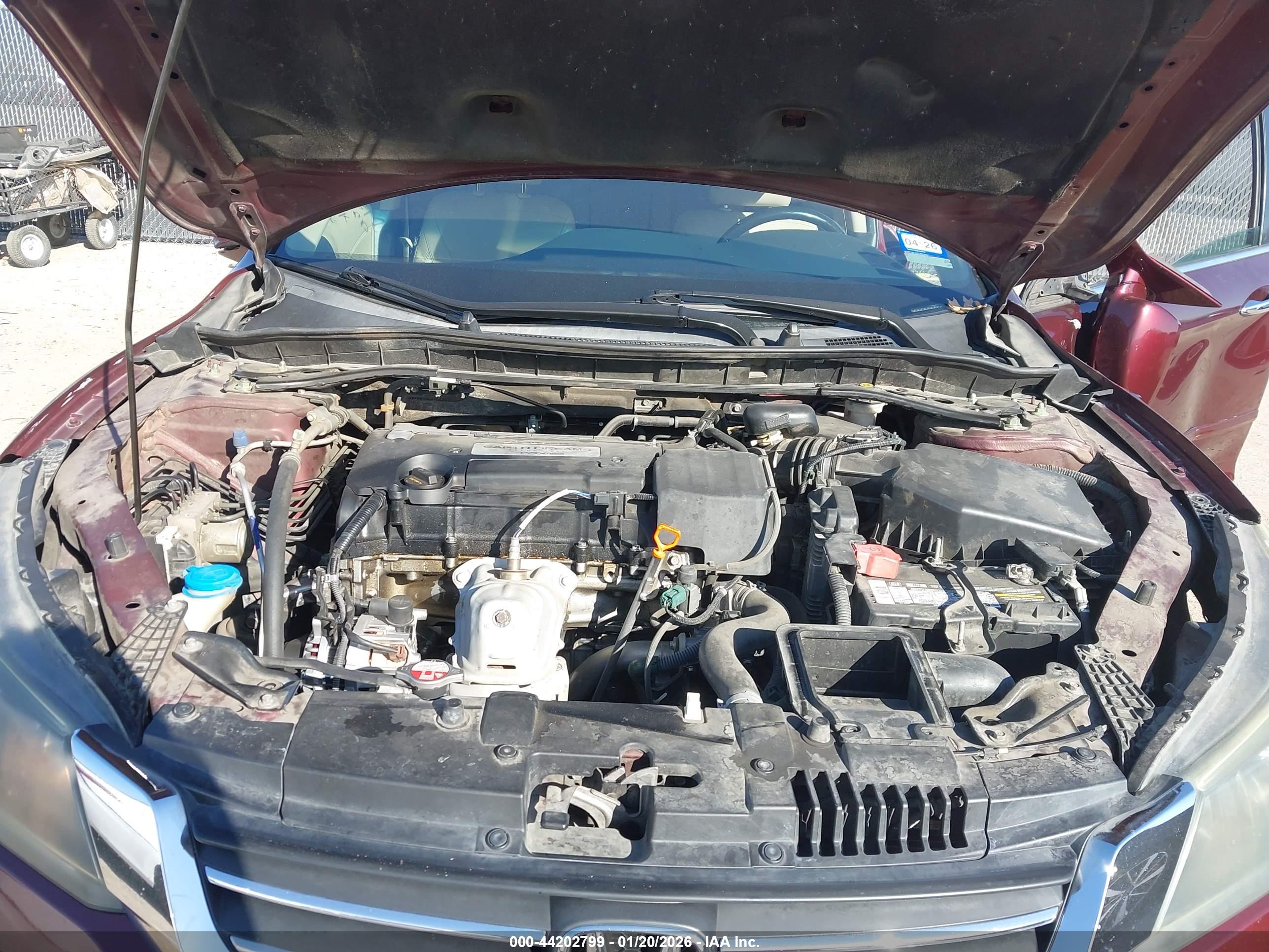 HONDA ACCORD image 10