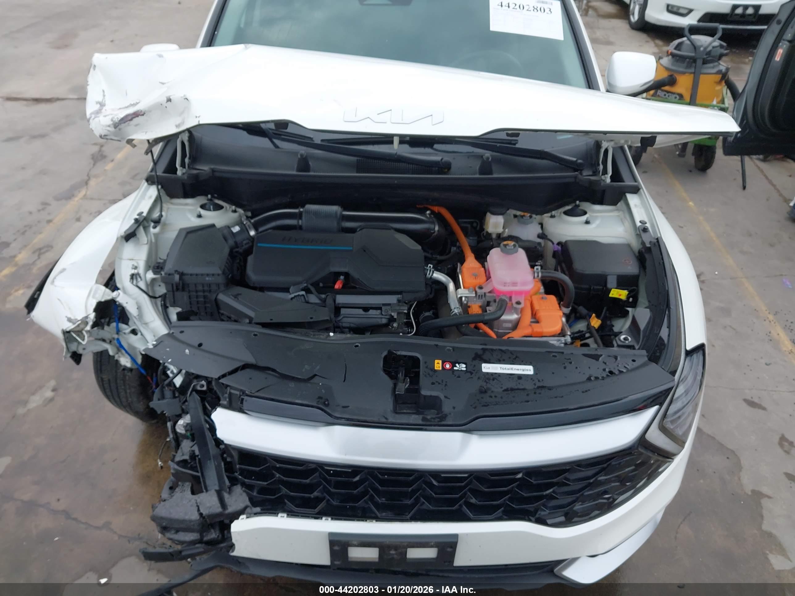 KIA SPORTAGE image 10