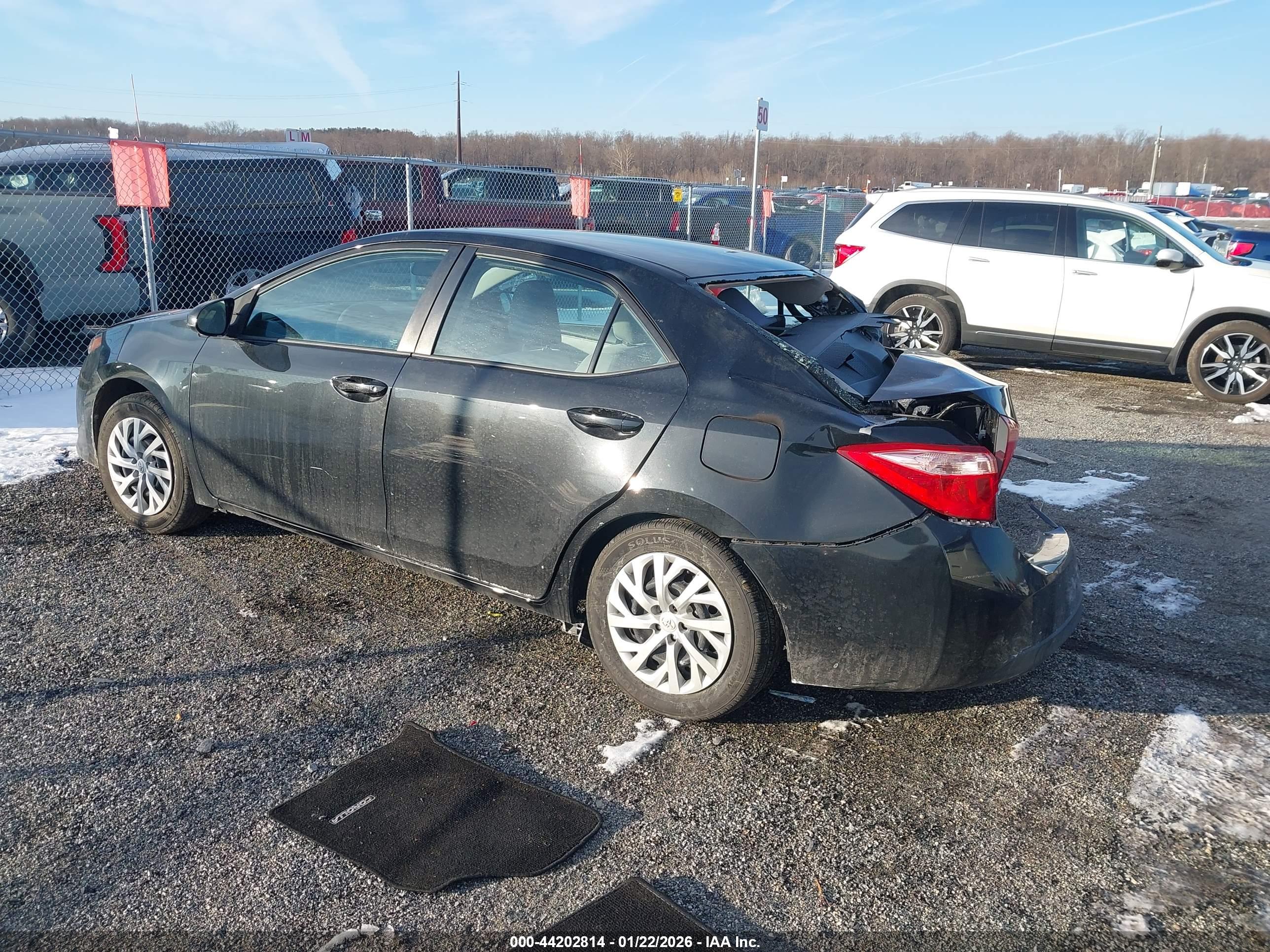 TOYOTA COROLLA image 3