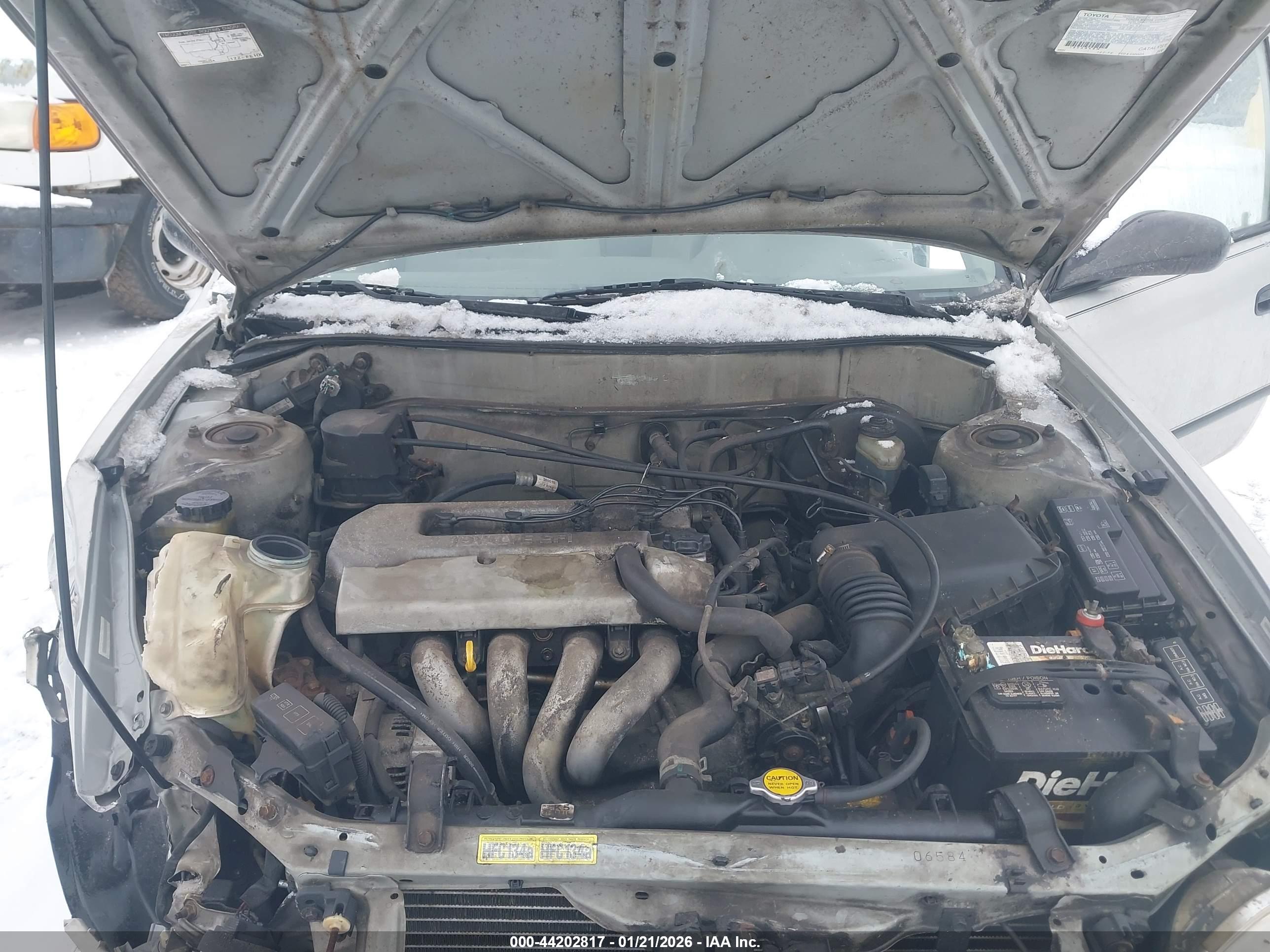 TOYOTA COROLLA image 10