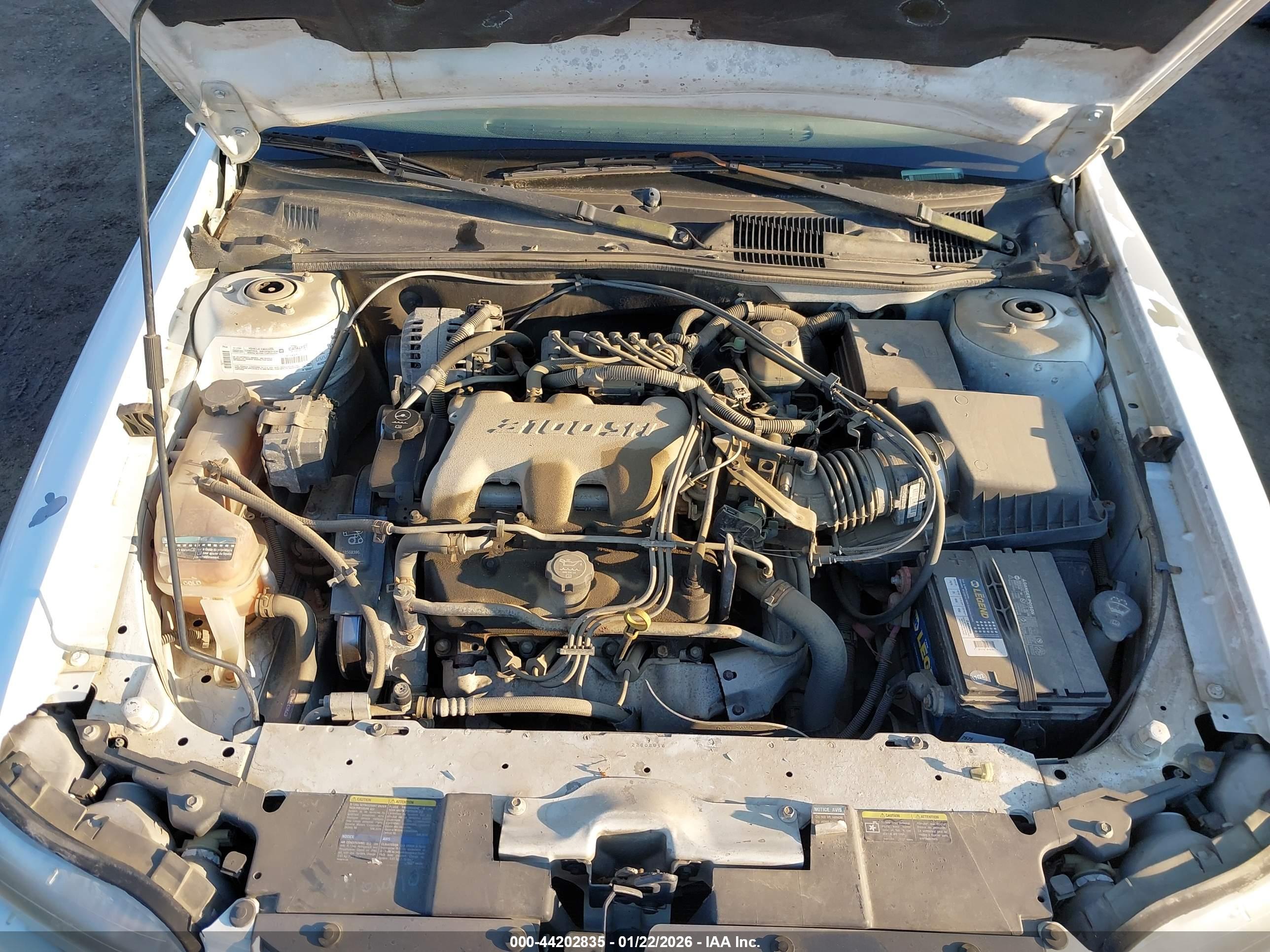CHEVROLET MALIBU image 10
