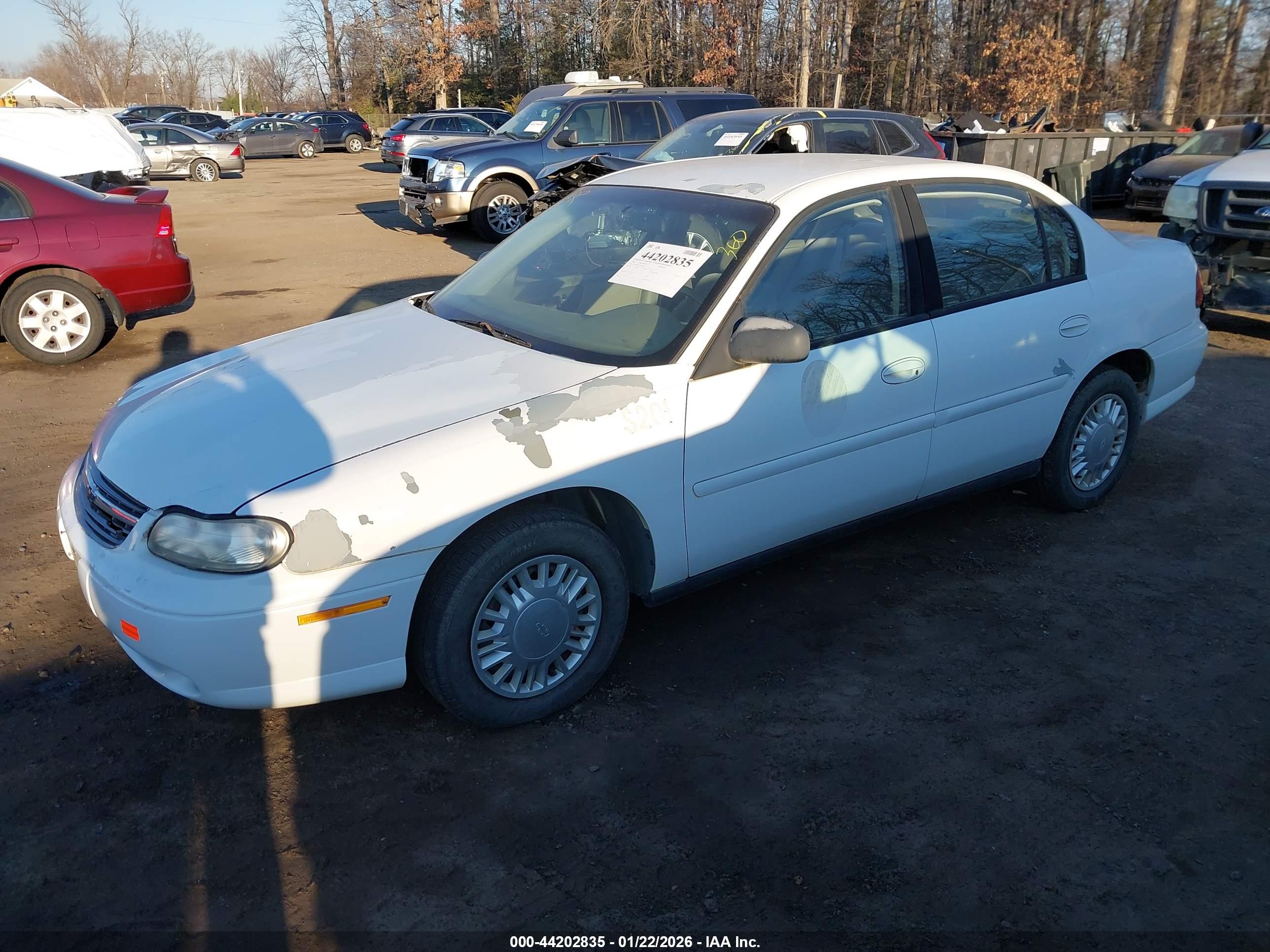 CHEVROLET MALIBU image 2
