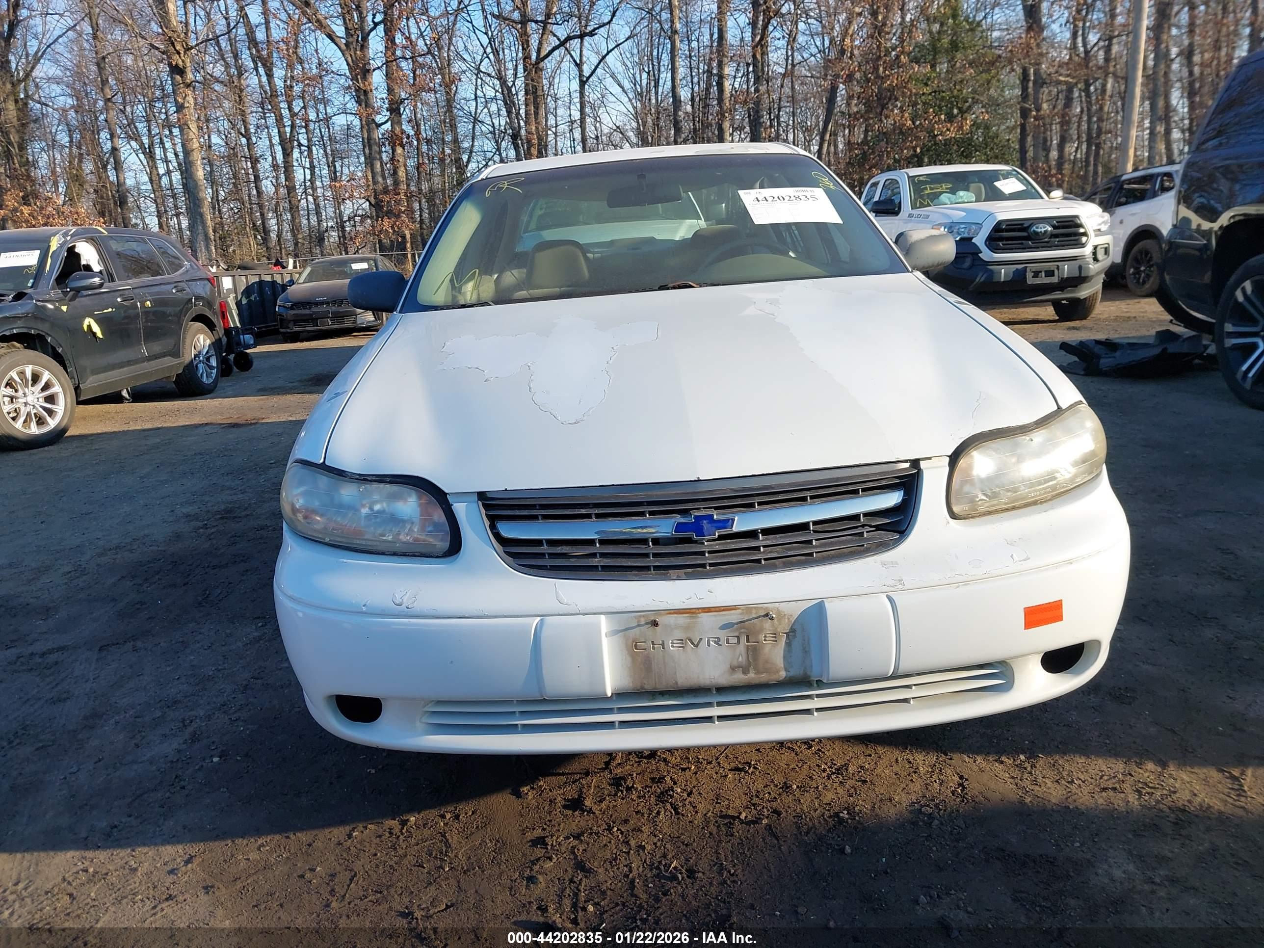 CHEVROLET MALIBU image 6