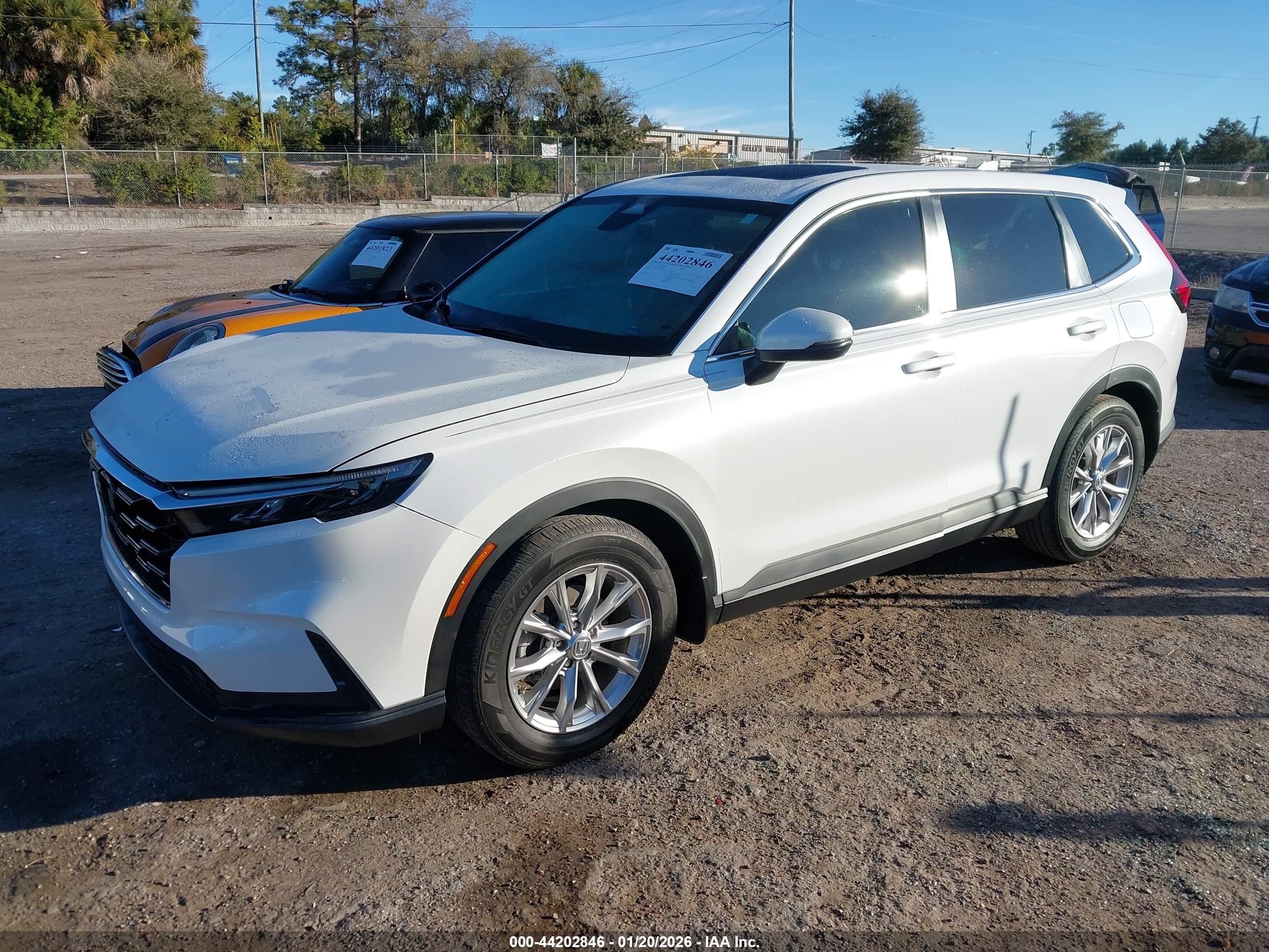 HONDA CR-V image 2