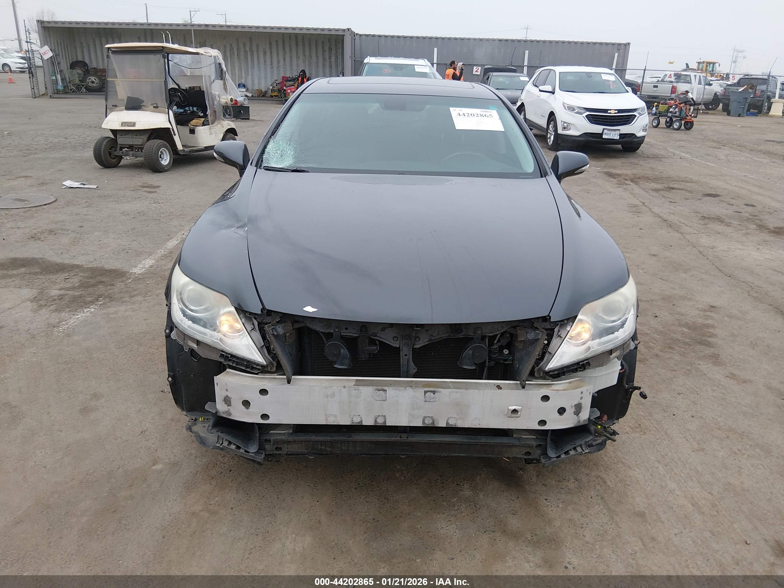 LEXUS LS image 6