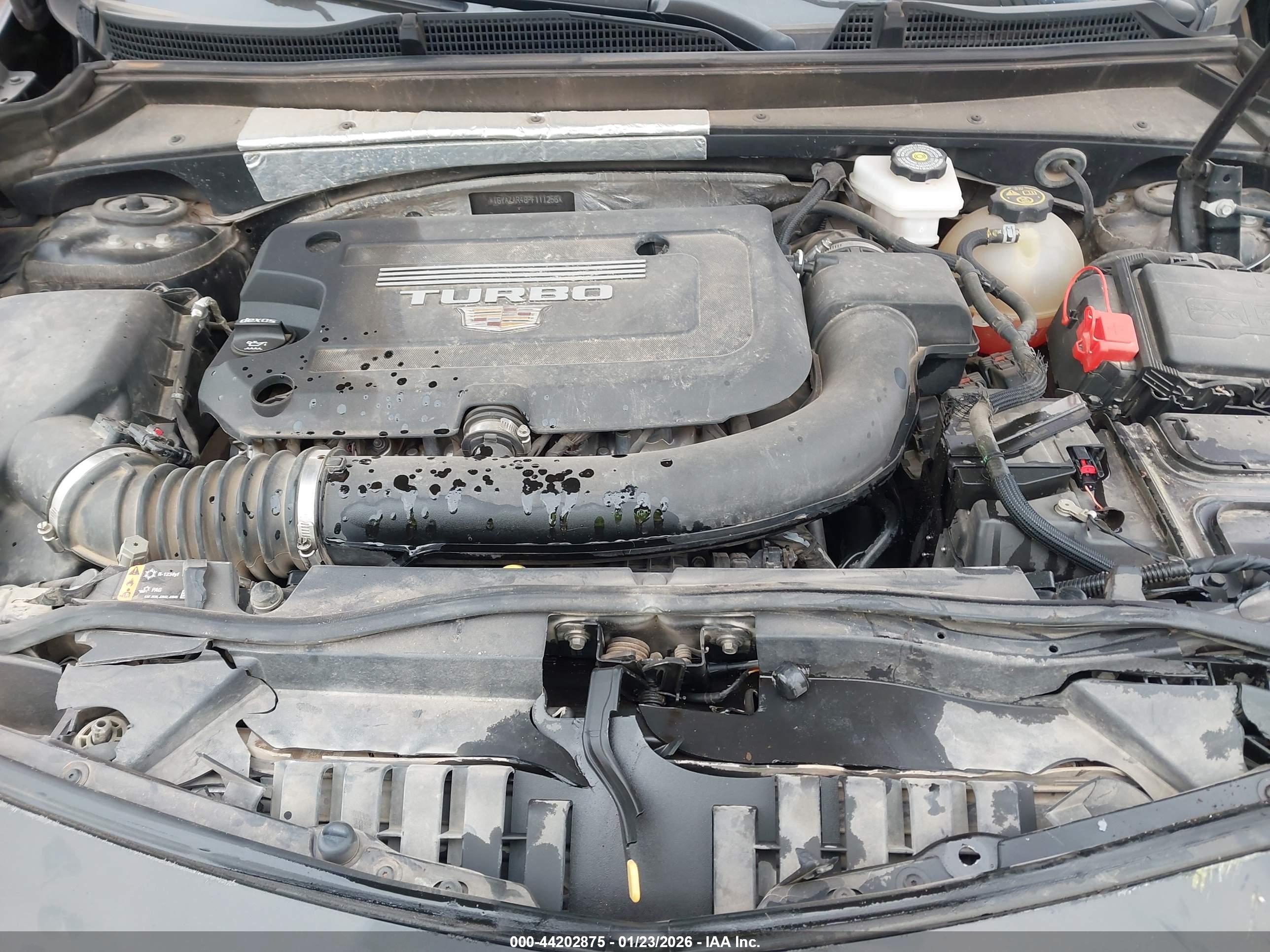 CADILLAC XT4 image 10