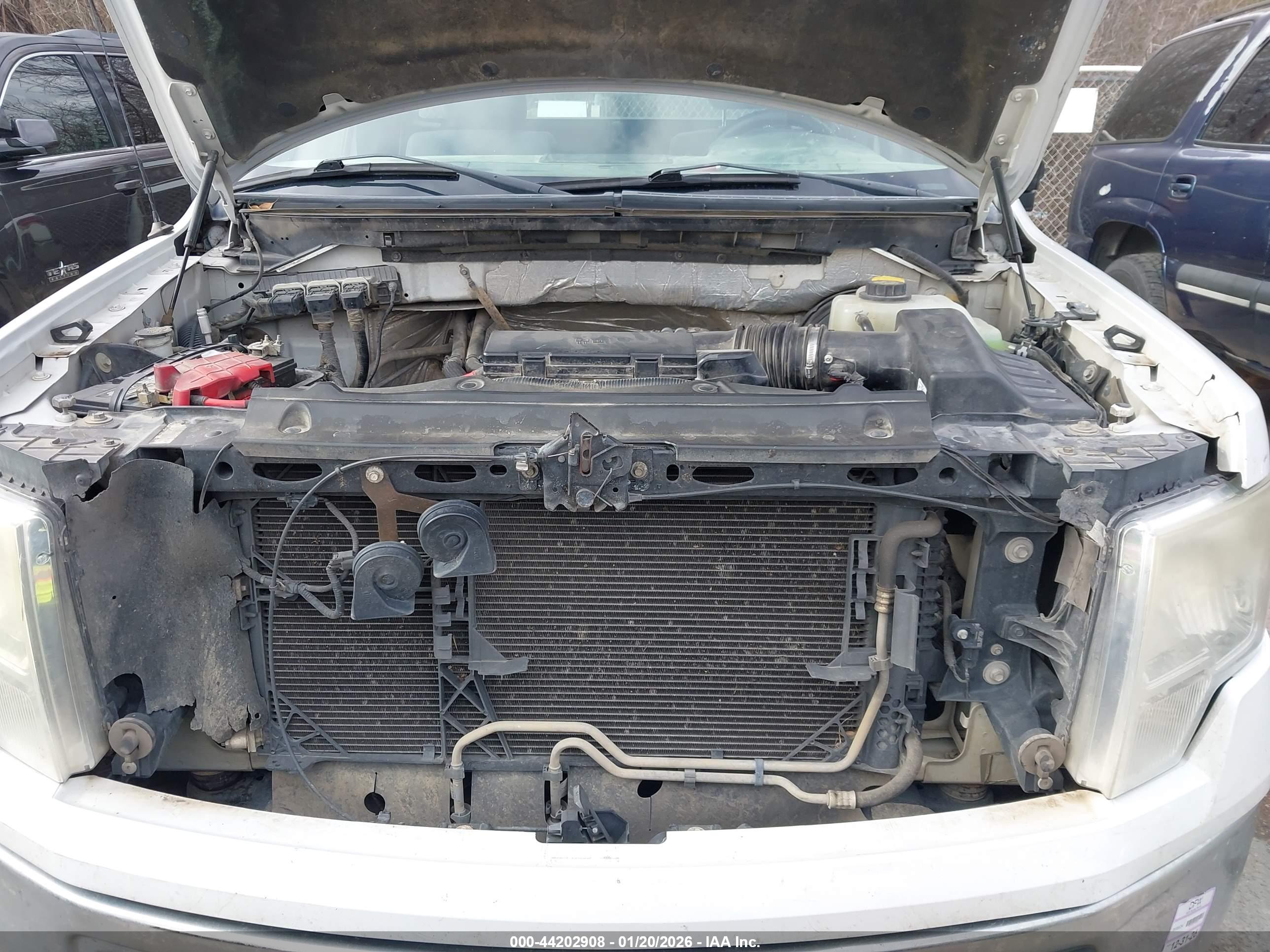 FORD F-150 image 10