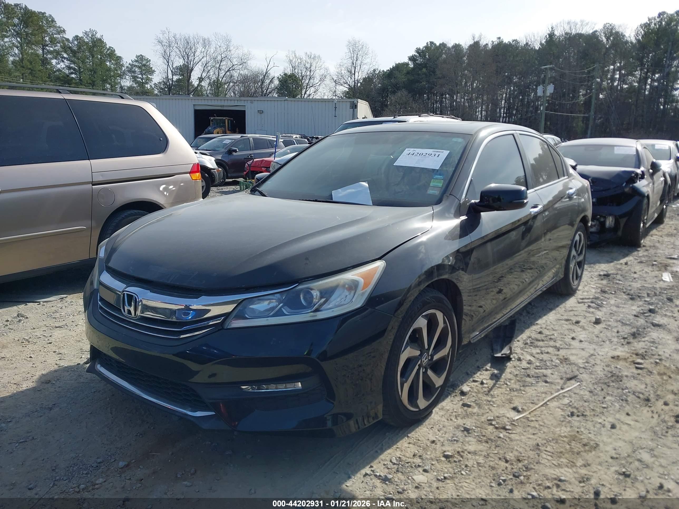 HONDA ACCORD image 2