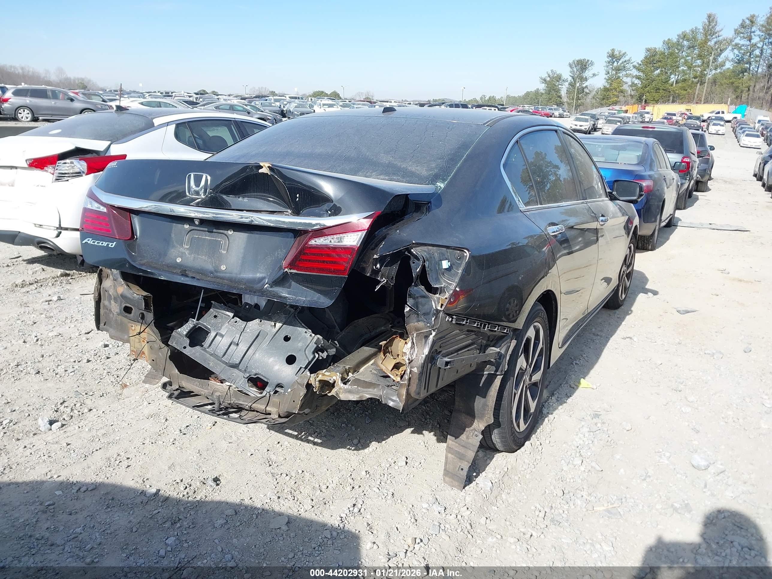 HONDA ACCORD image 4