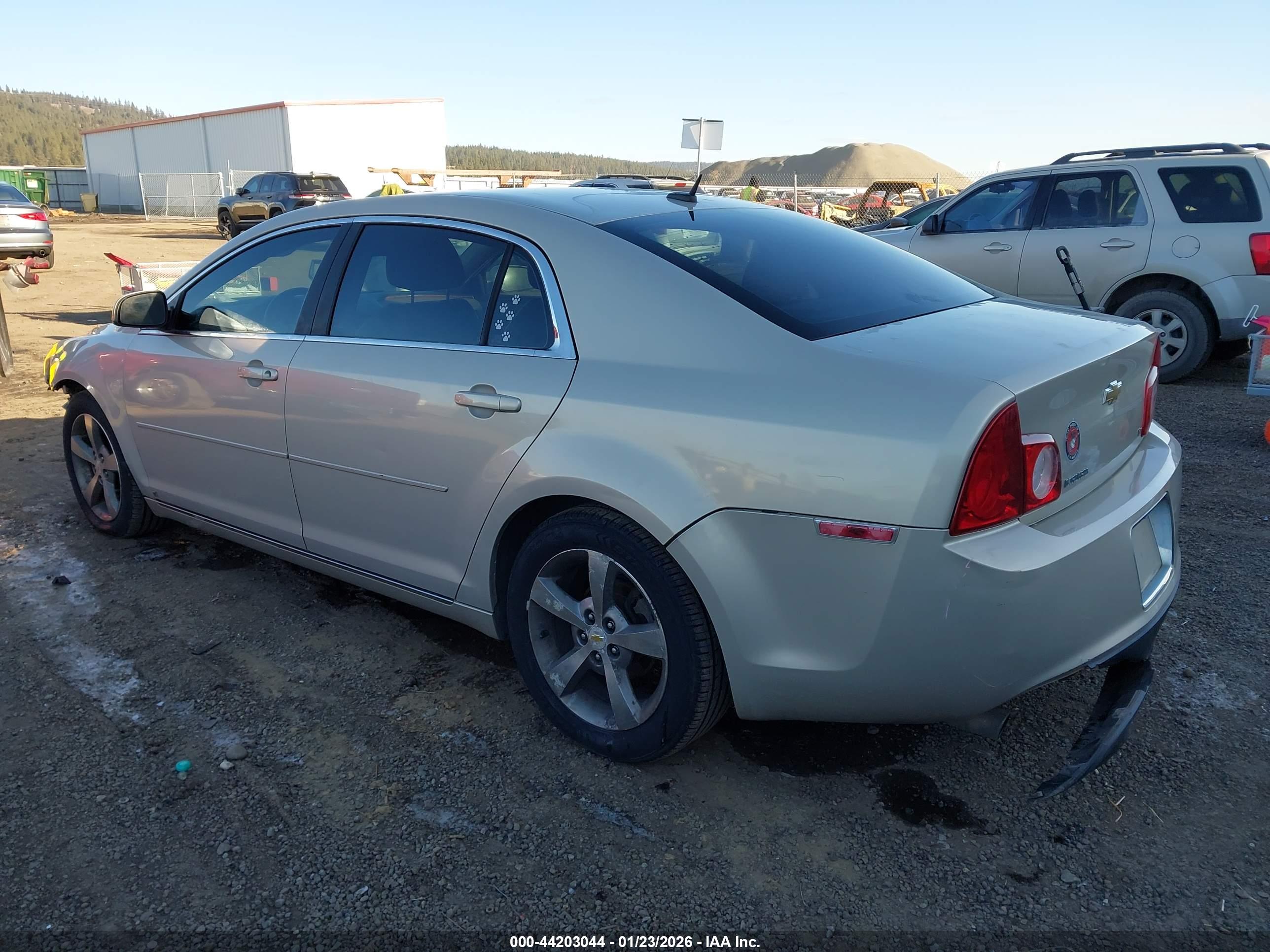 CHEVROLET MALIBU image 3