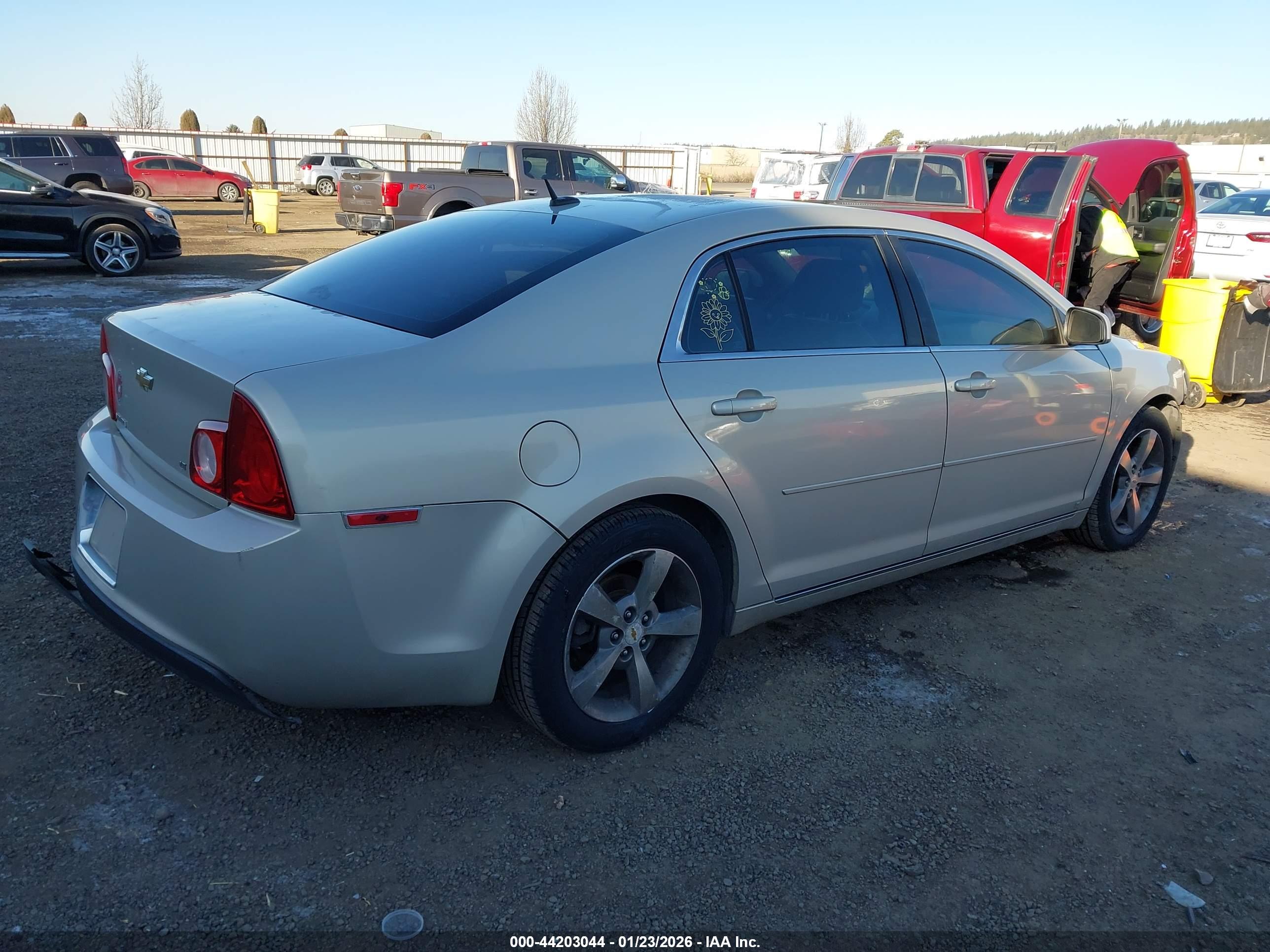 CHEVROLET MALIBU image 4
