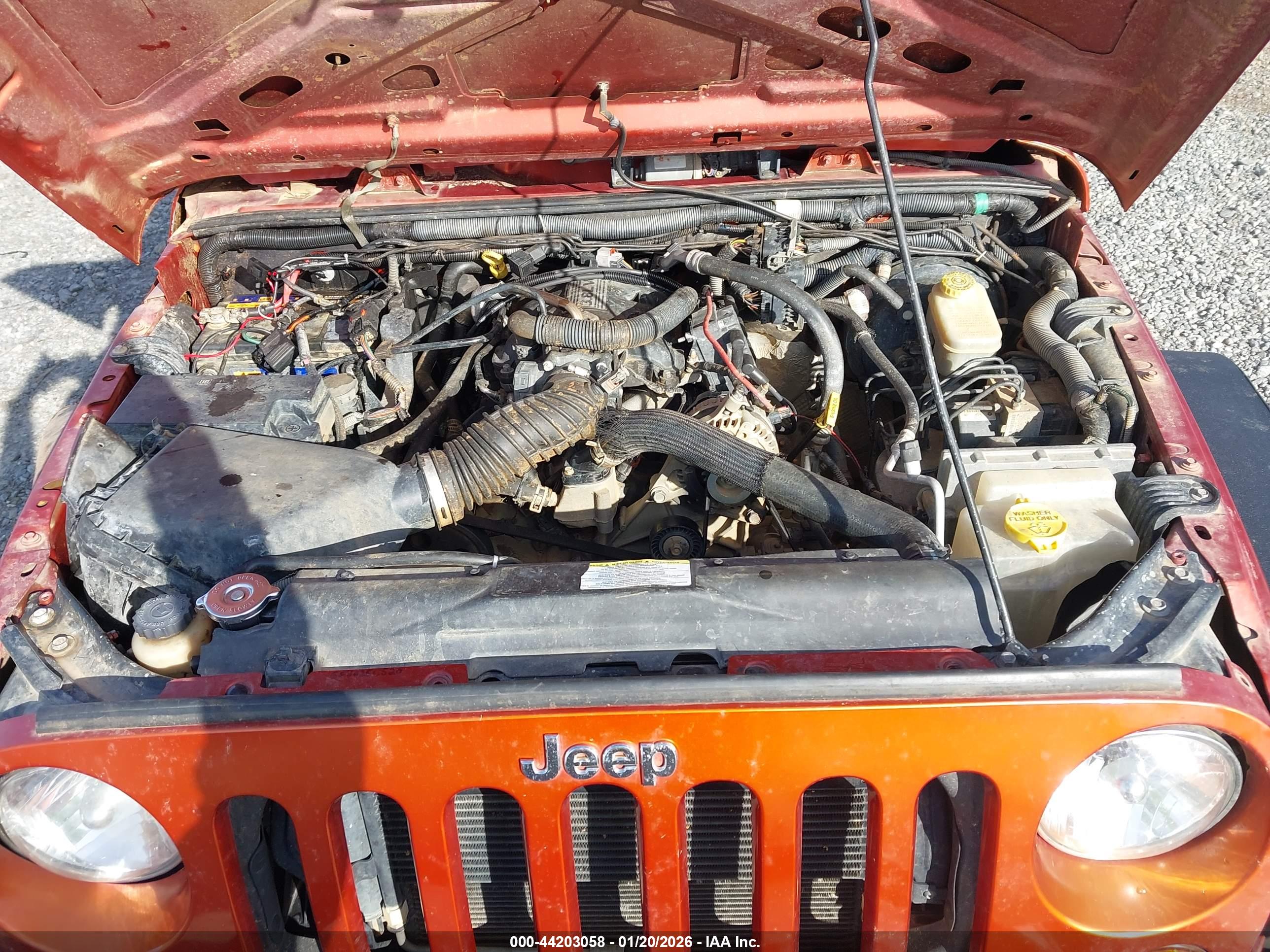 JEEP WRANGLER image 10