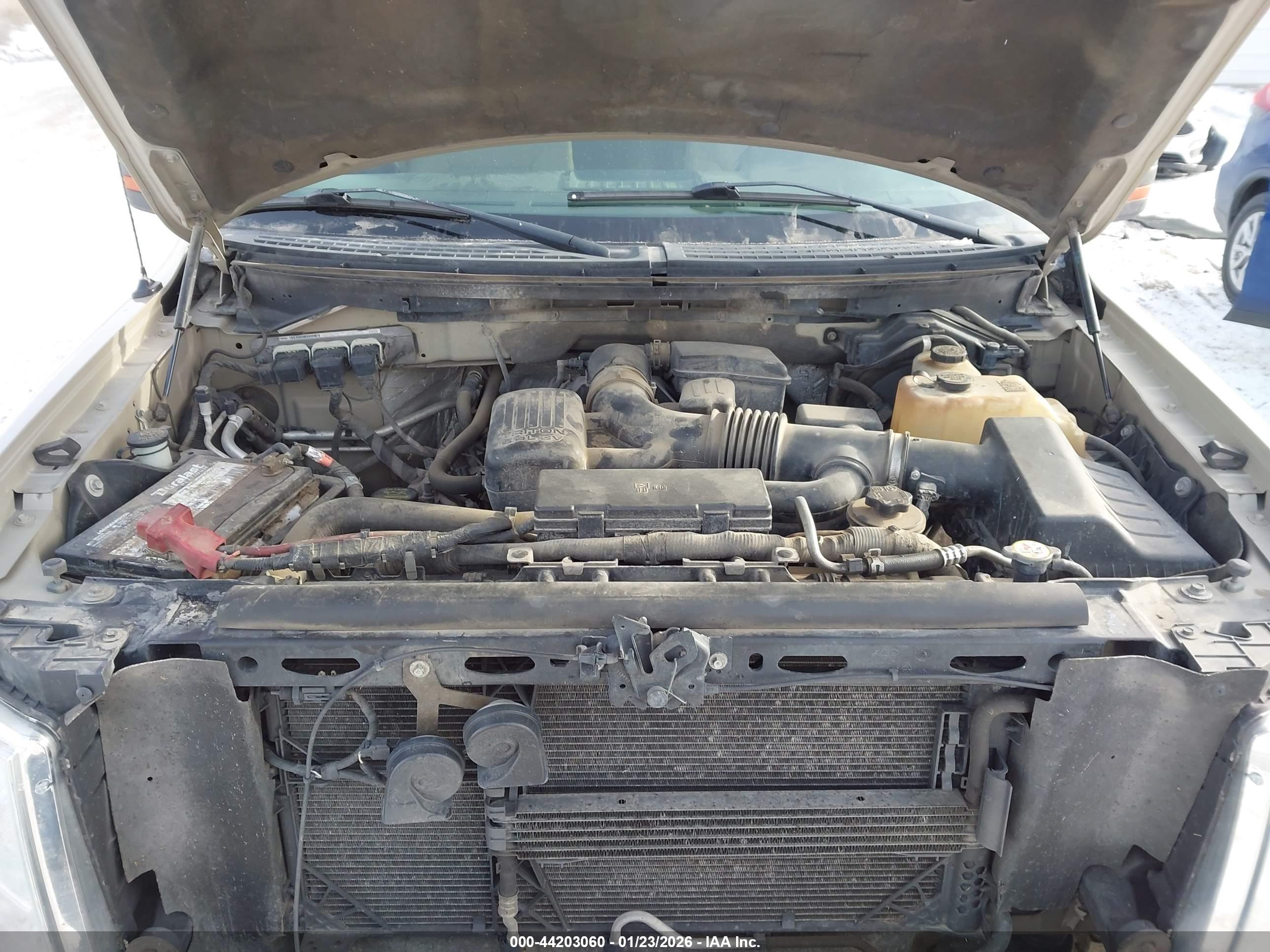 FORD F-150 image 10