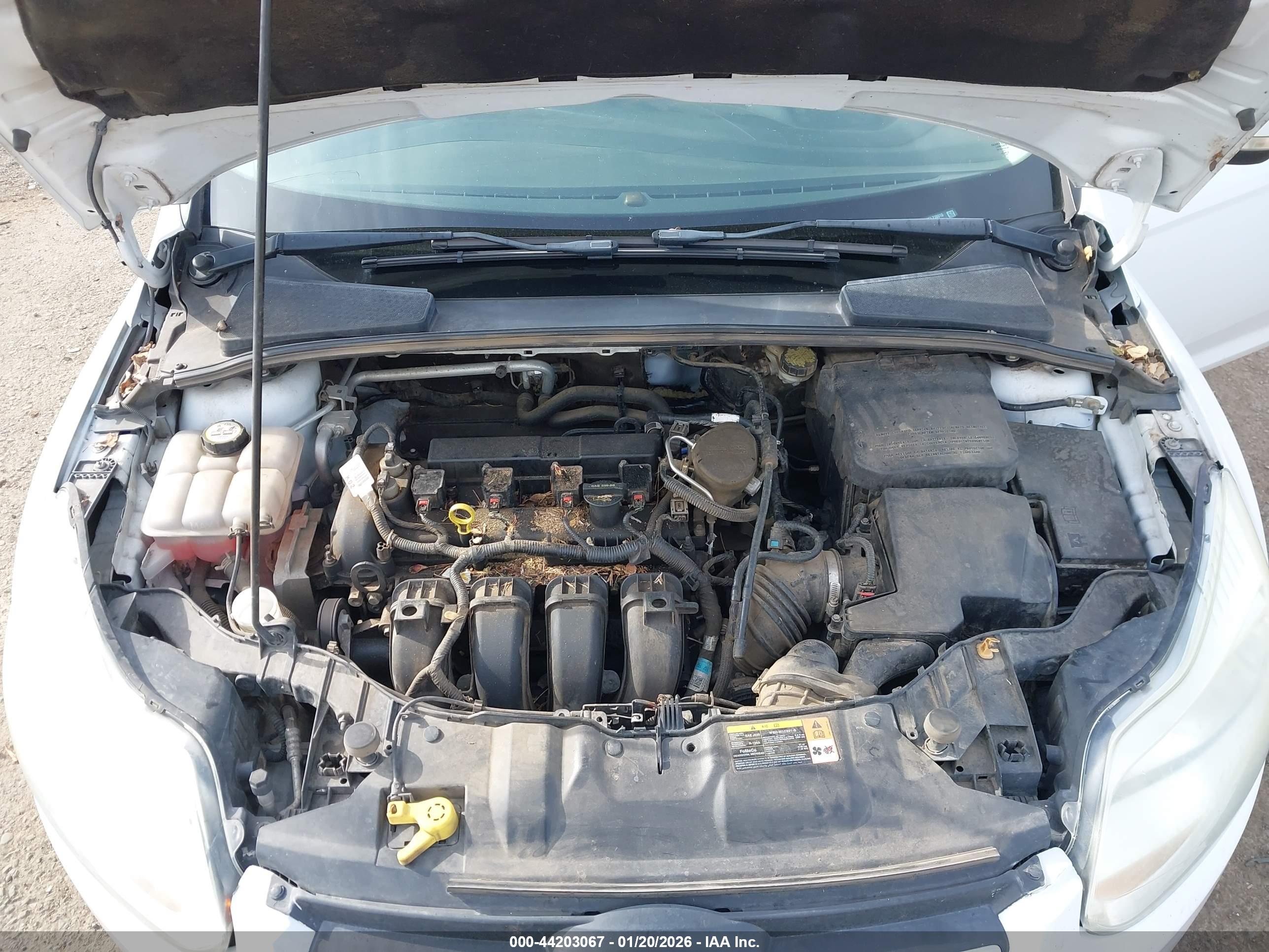 FORD FOCUS image 10