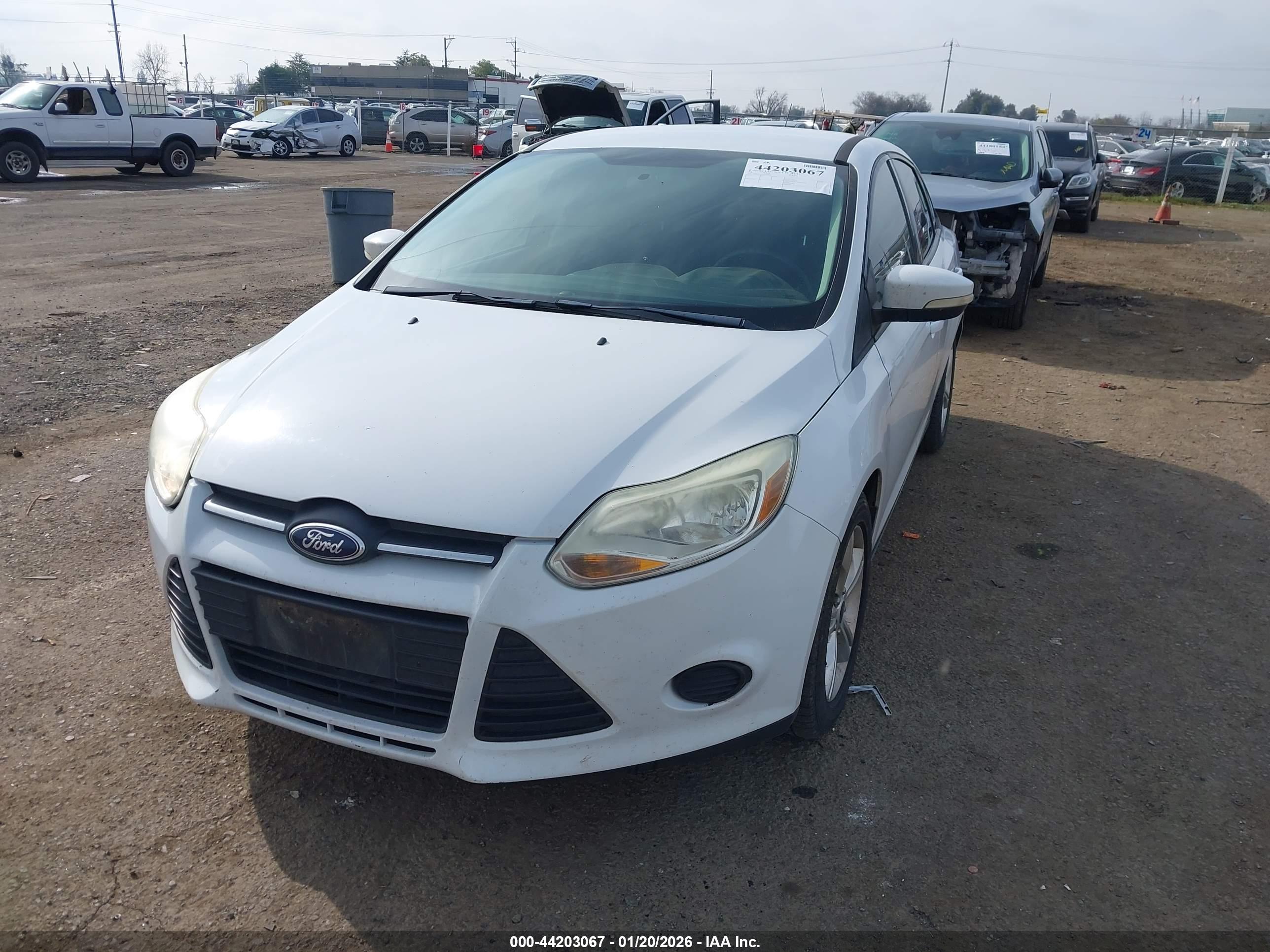 FORD FOCUS image 2