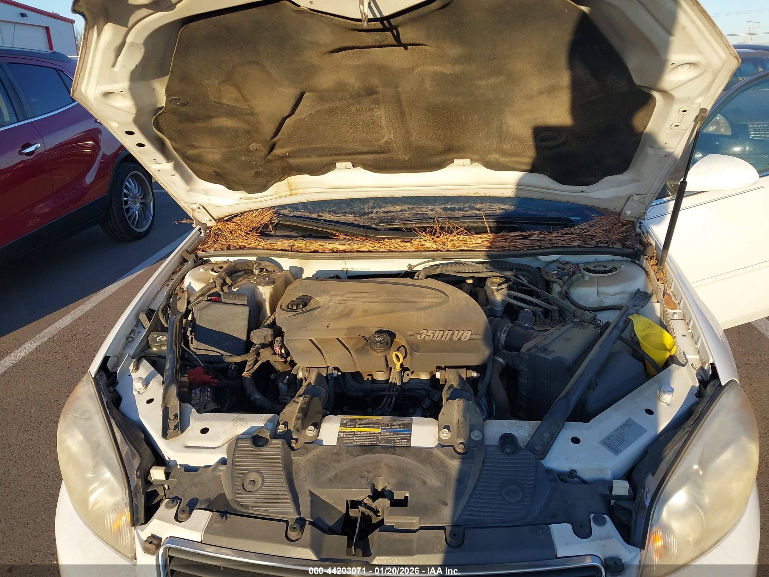 CHEVROLET IMPALA image 10