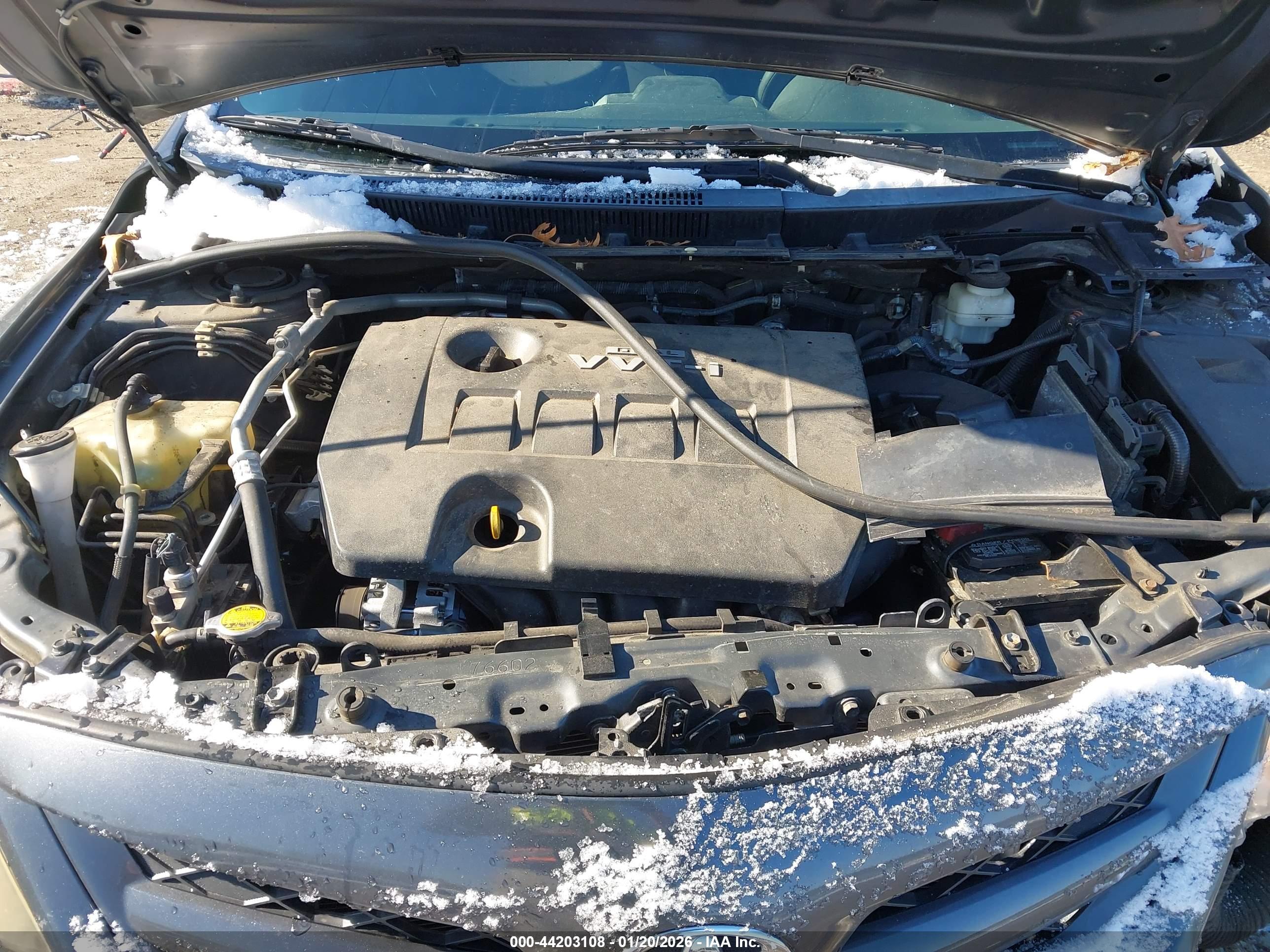 TOYOTA COROLLA image 10