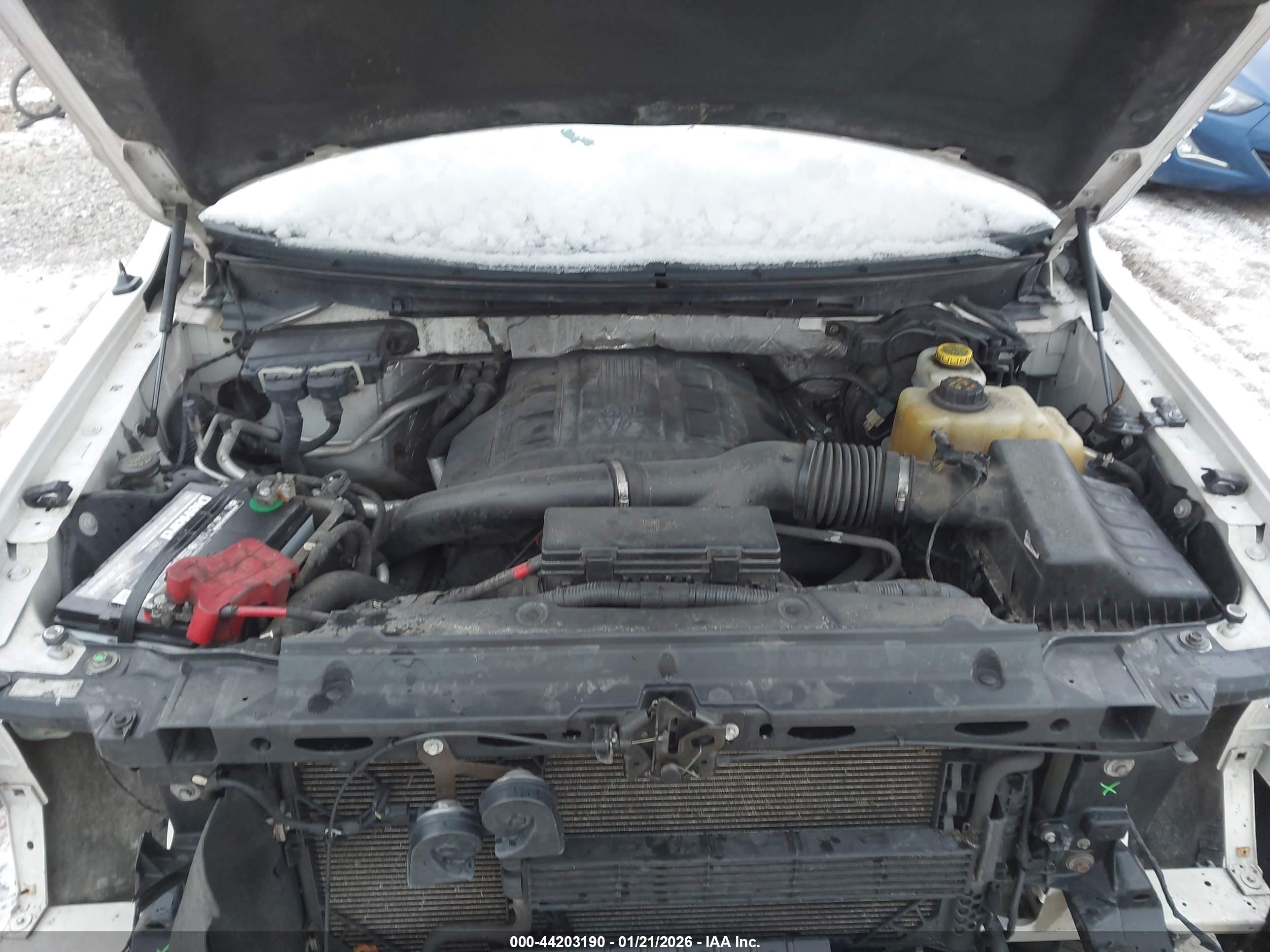 FORD F-150 image 10