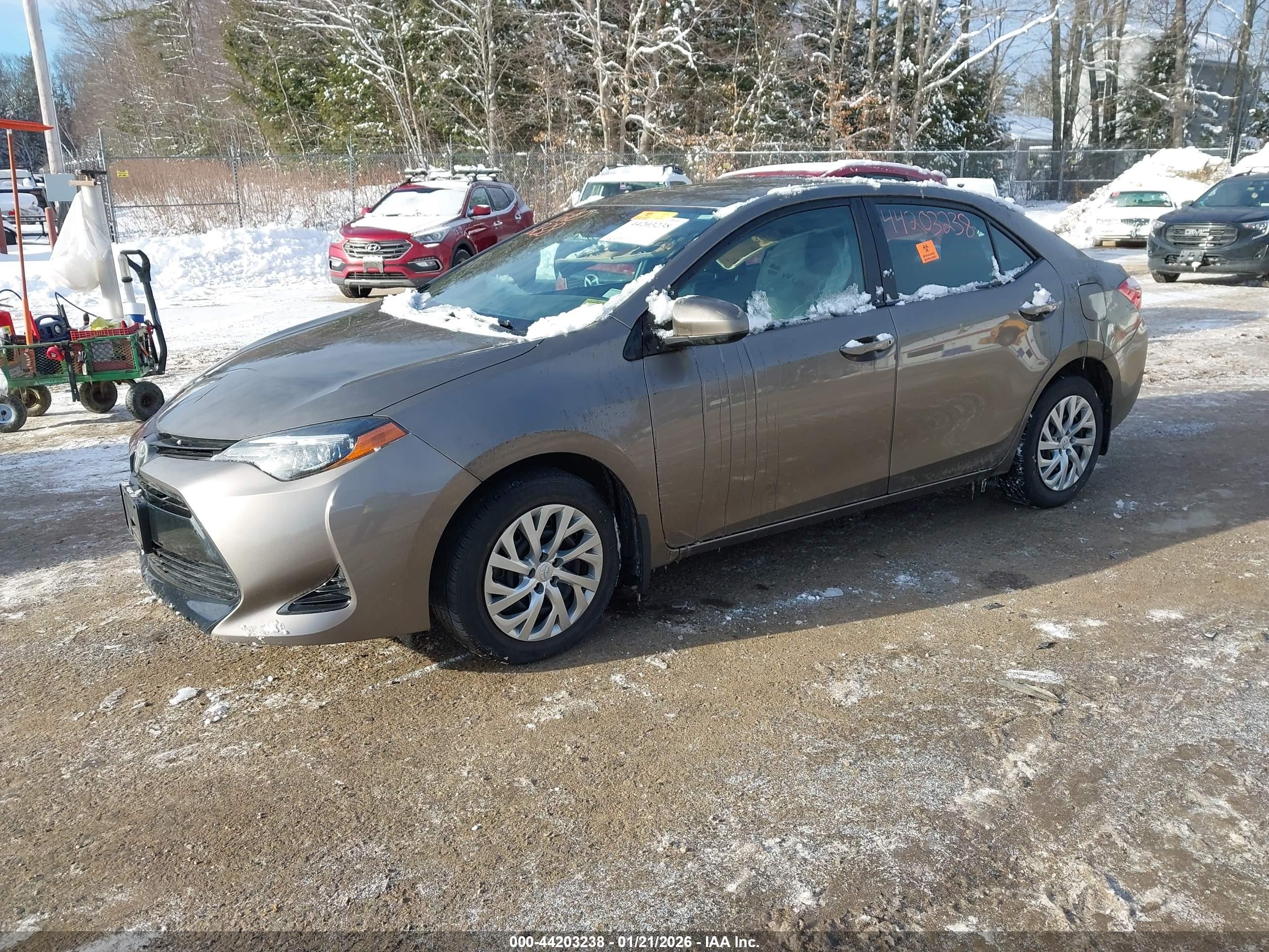 TOYOTA COROLLA image 2