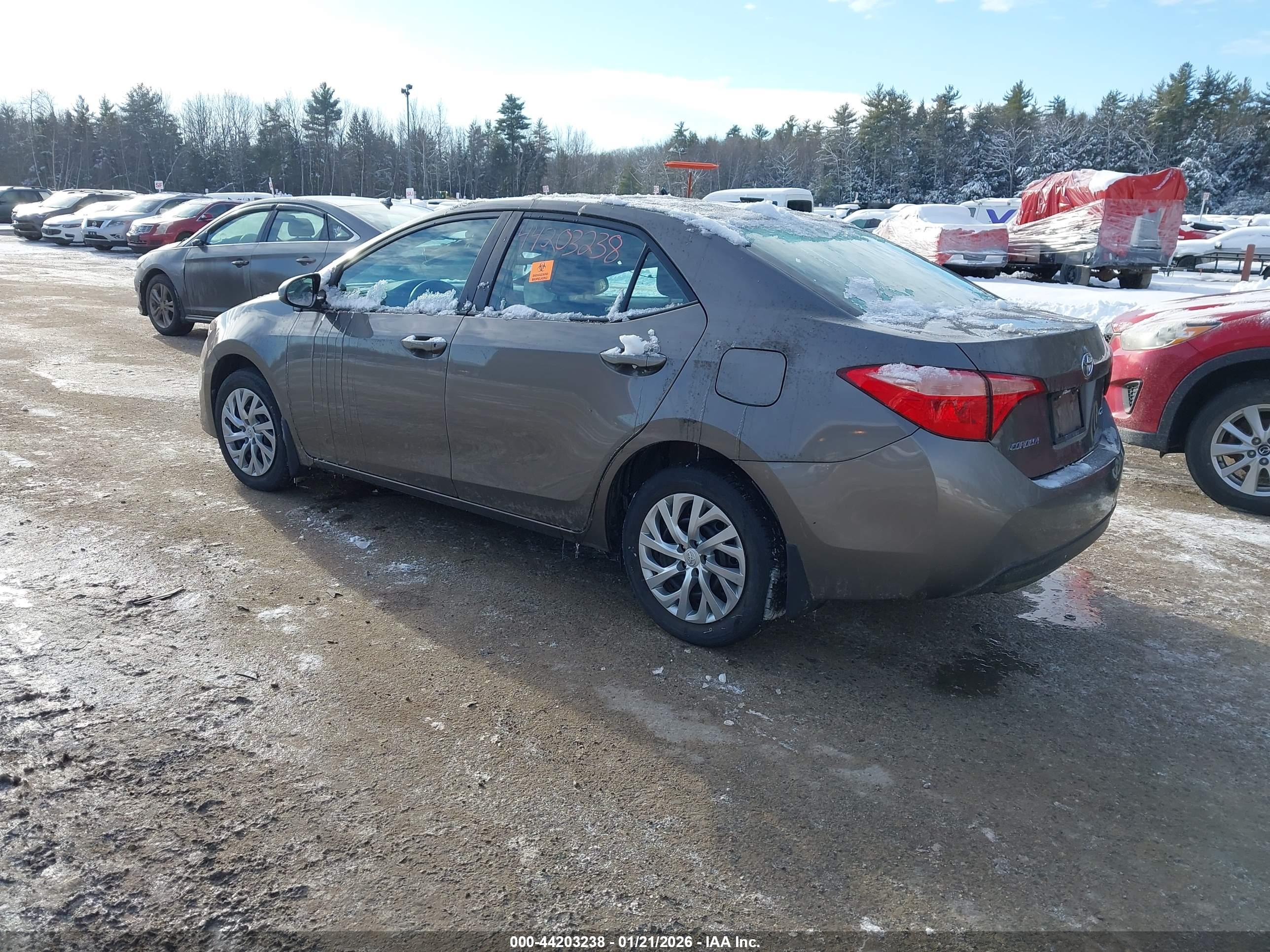 TOYOTA COROLLA image 3