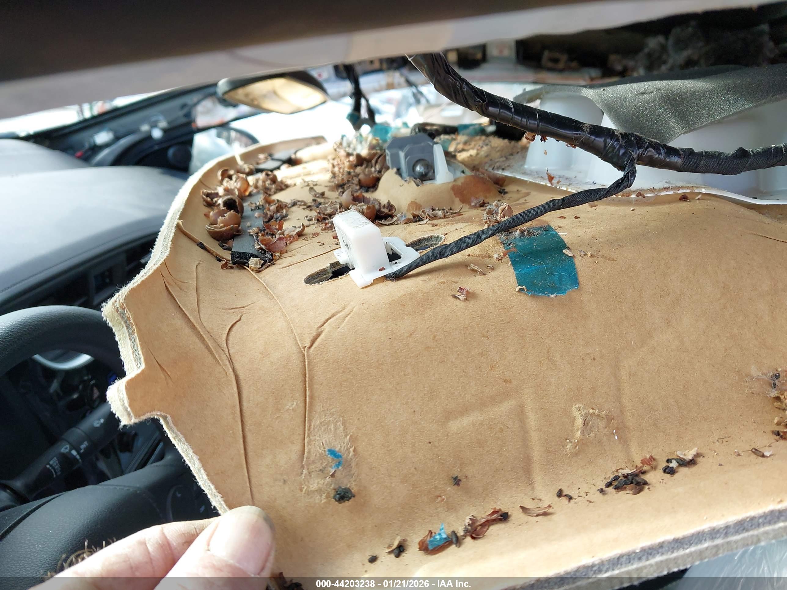 TOYOTA COROLLA image 6
