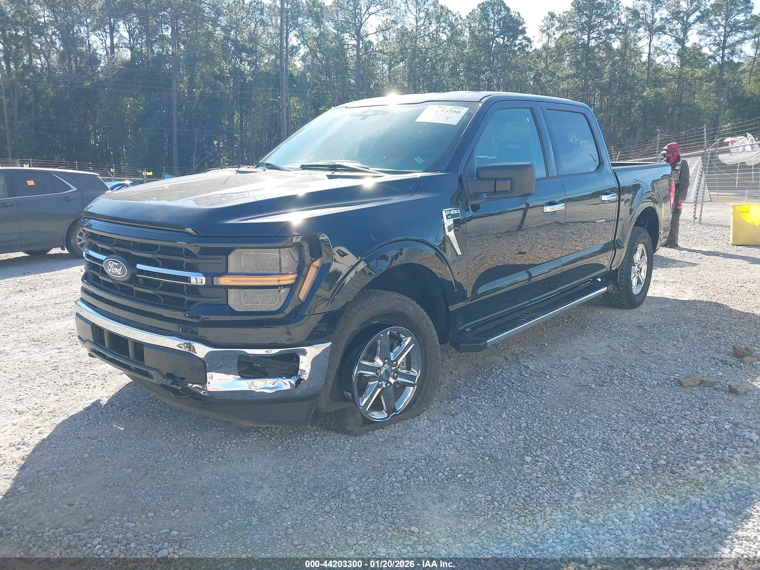 FORD F-150 image 2