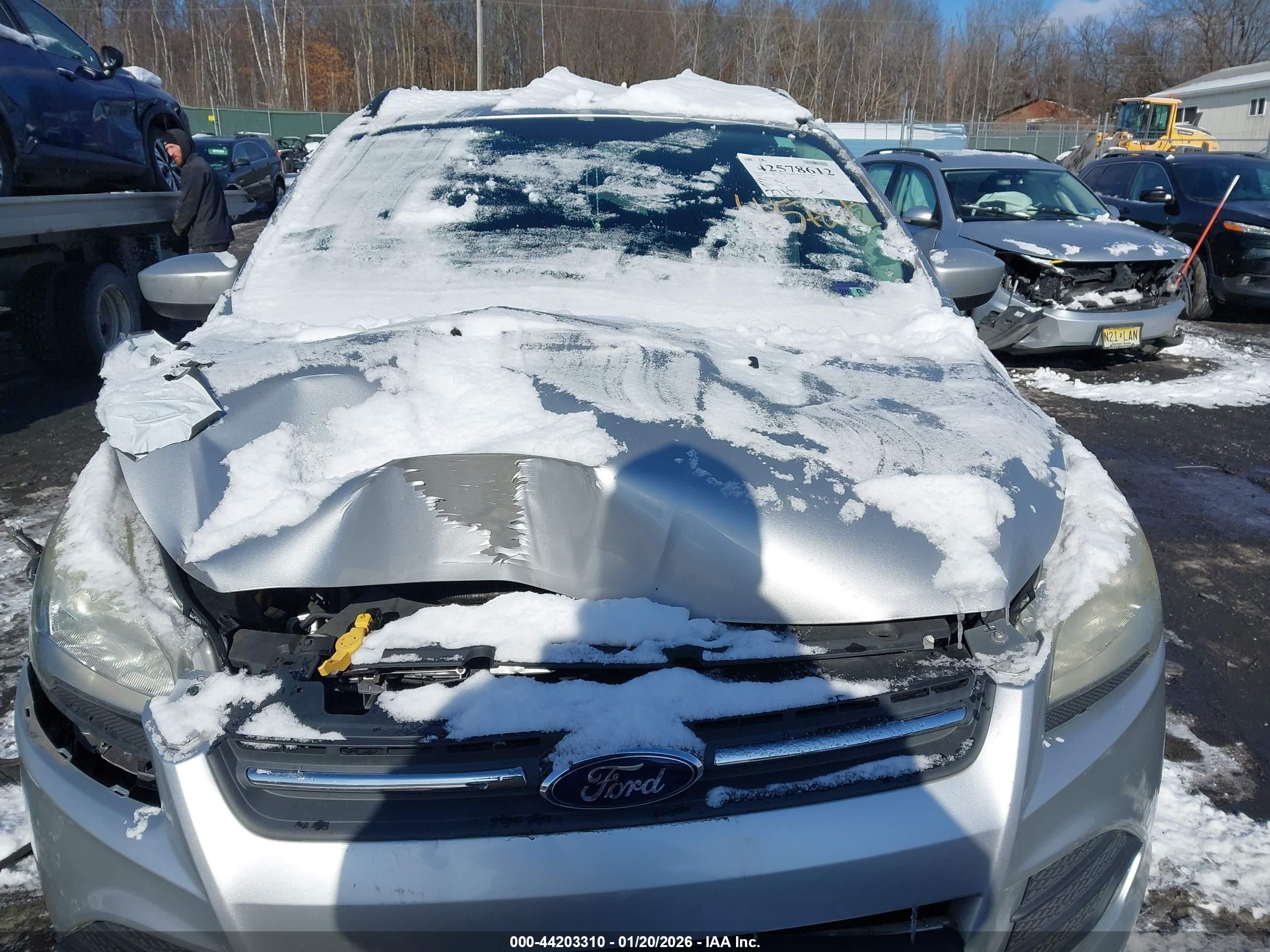 FORD ESCAPE image 6