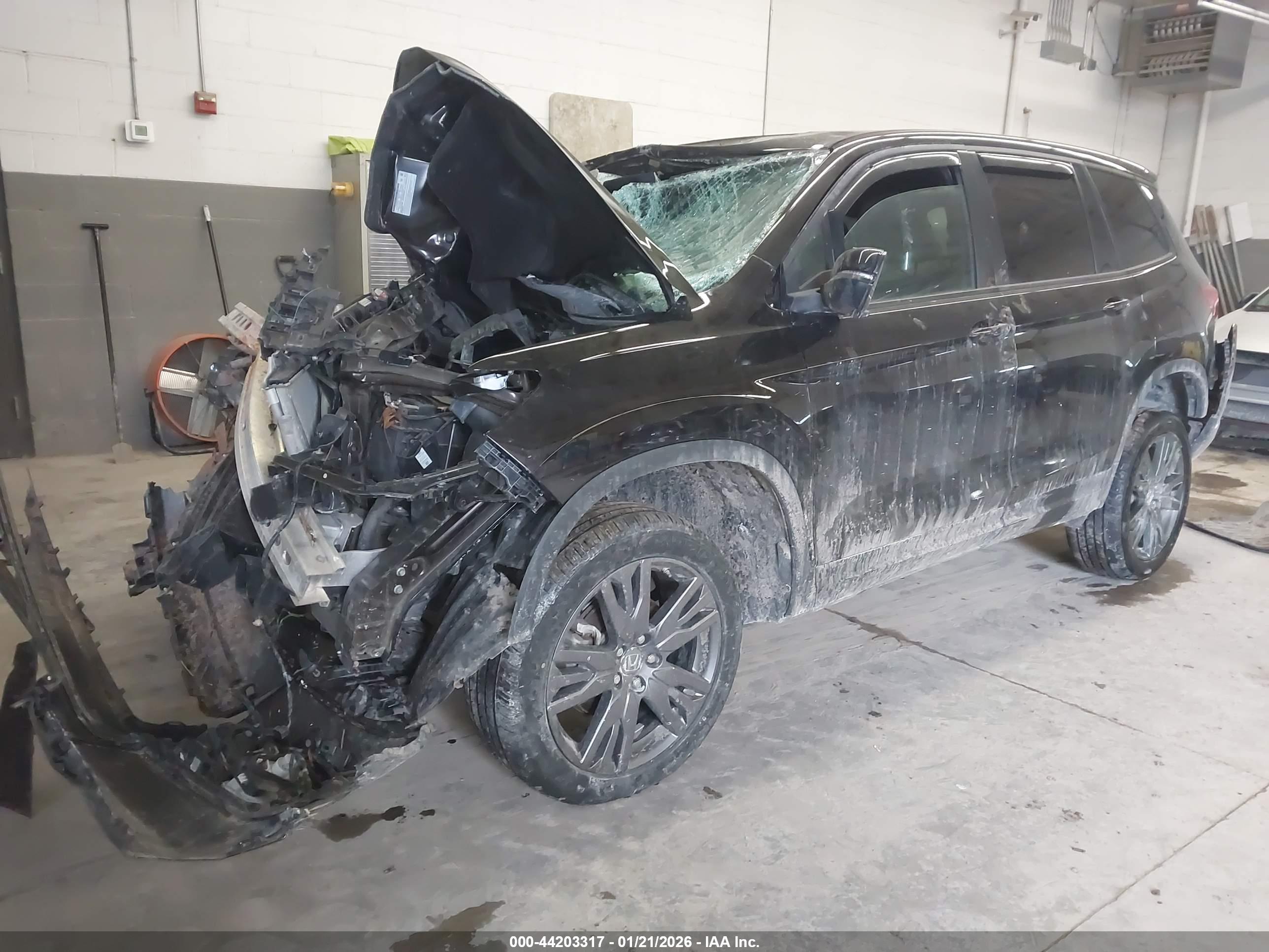 HONDA PASSPORT image 2