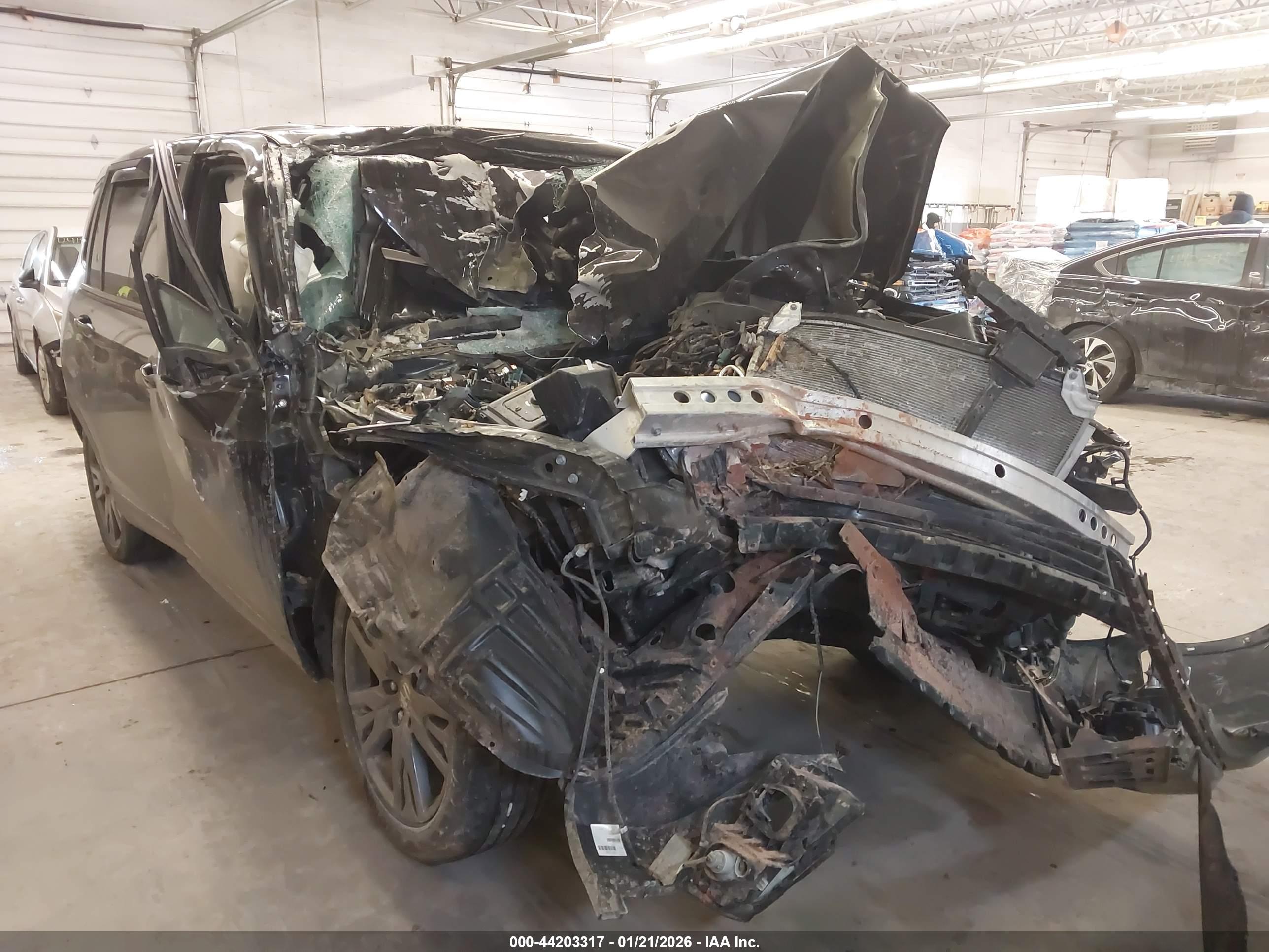 HONDA PASSPORT image 6