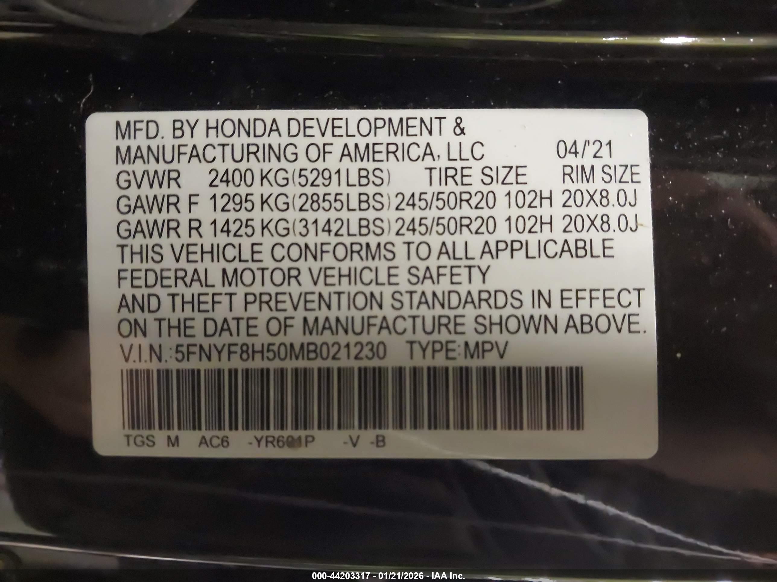 HONDA PASSPORT image 9