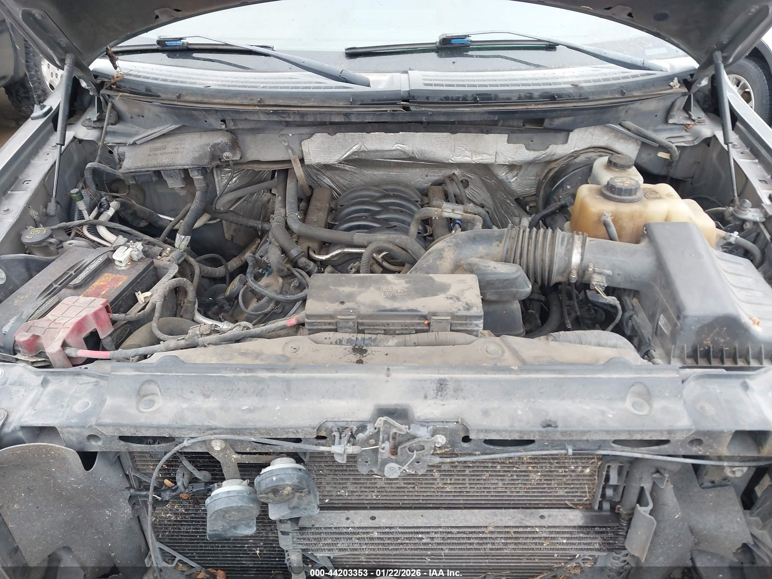 FORD F-150 image 10