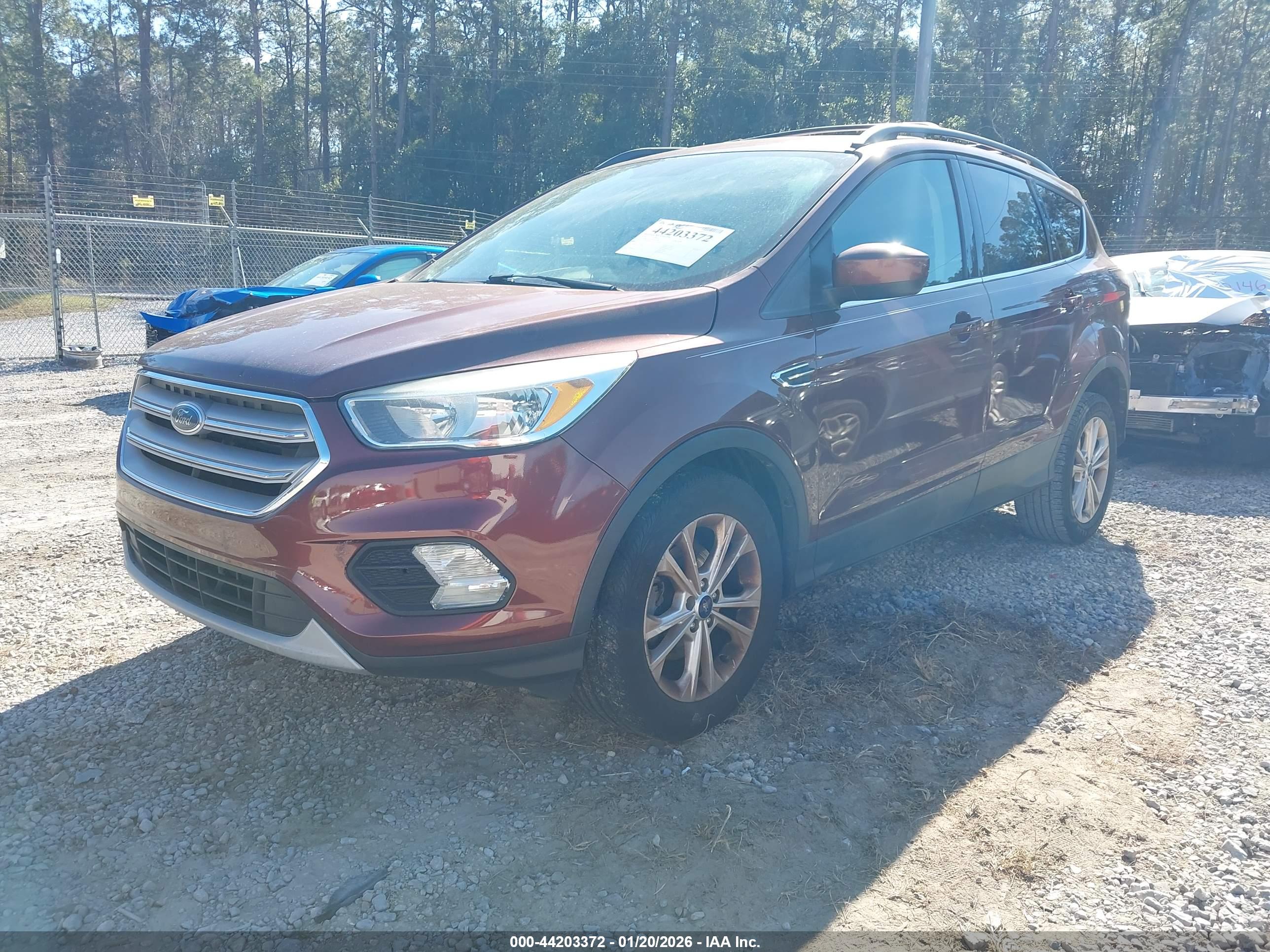 FORD ESCAPE image 2