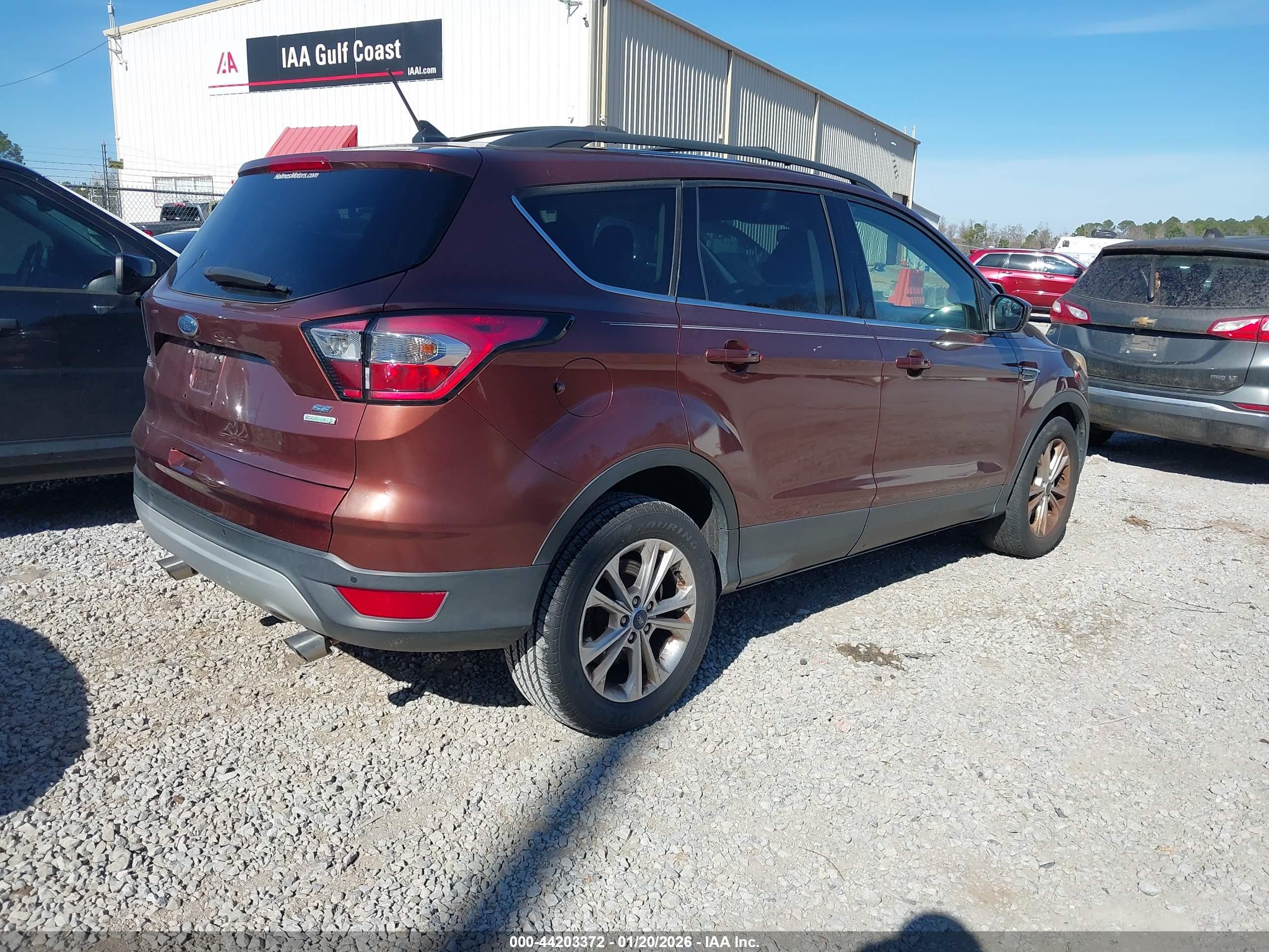 FORD ESCAPE image 4