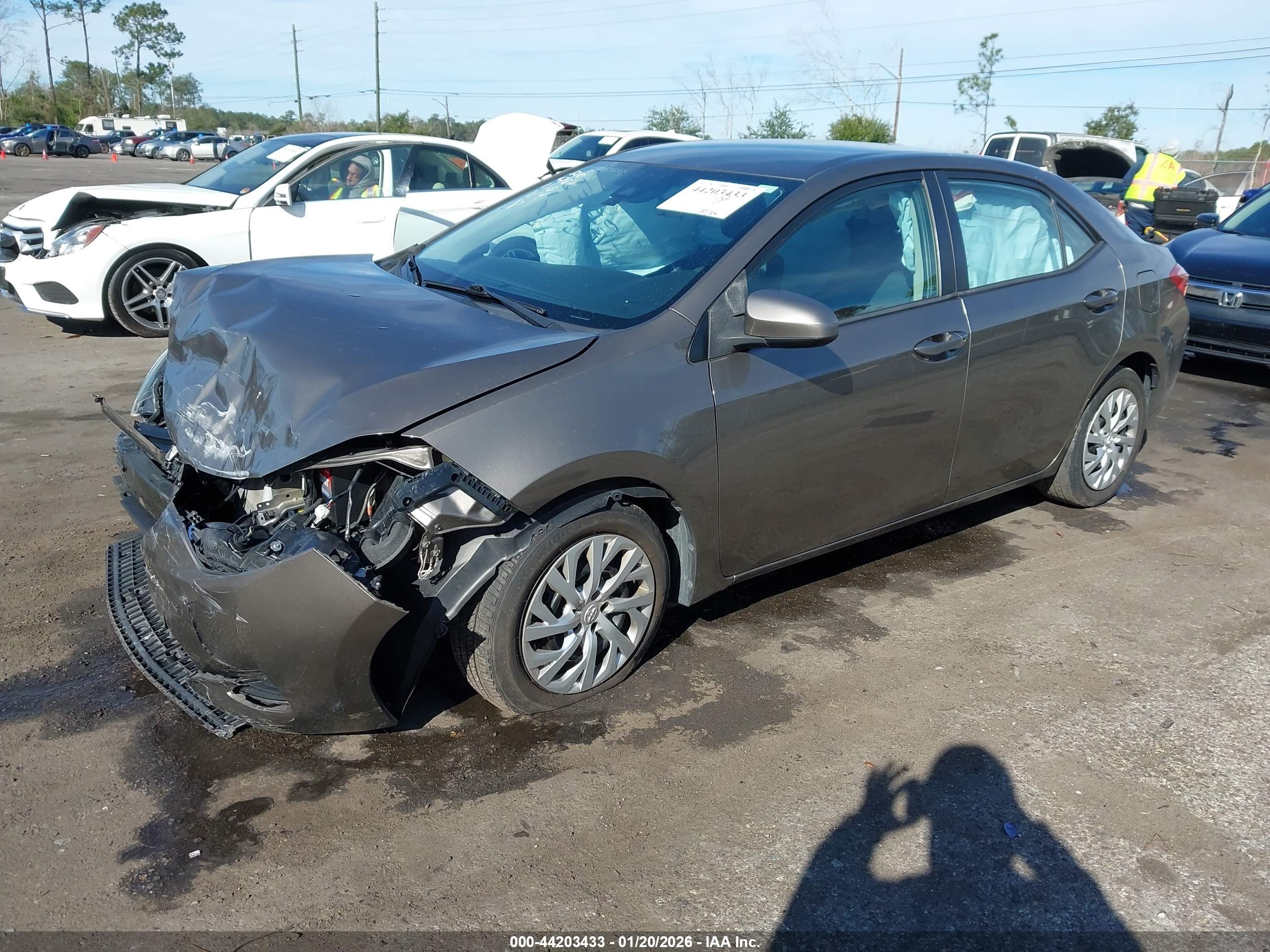TOYOTA COROLLA image 2