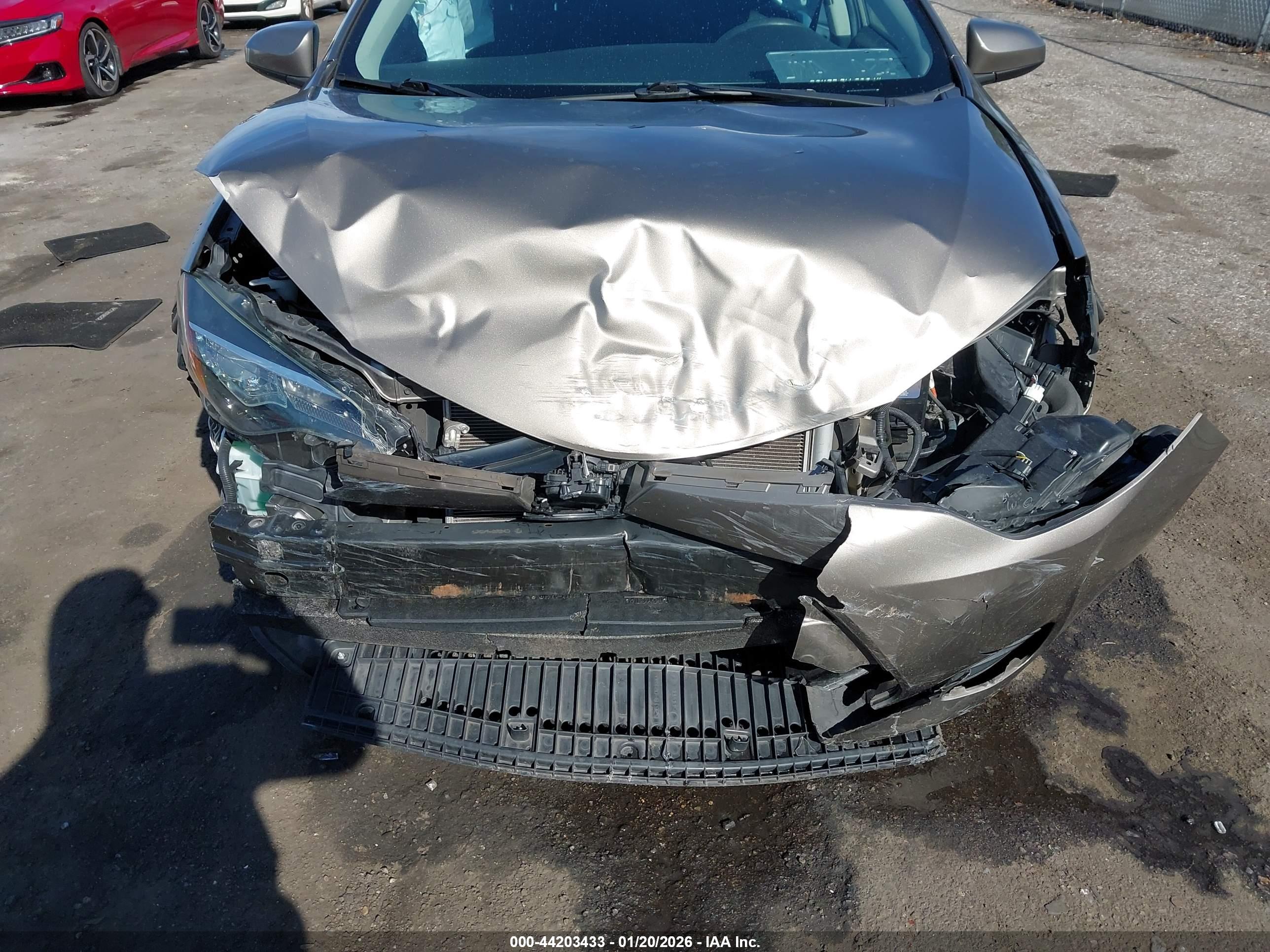 TOYOTA COROLLA image 6