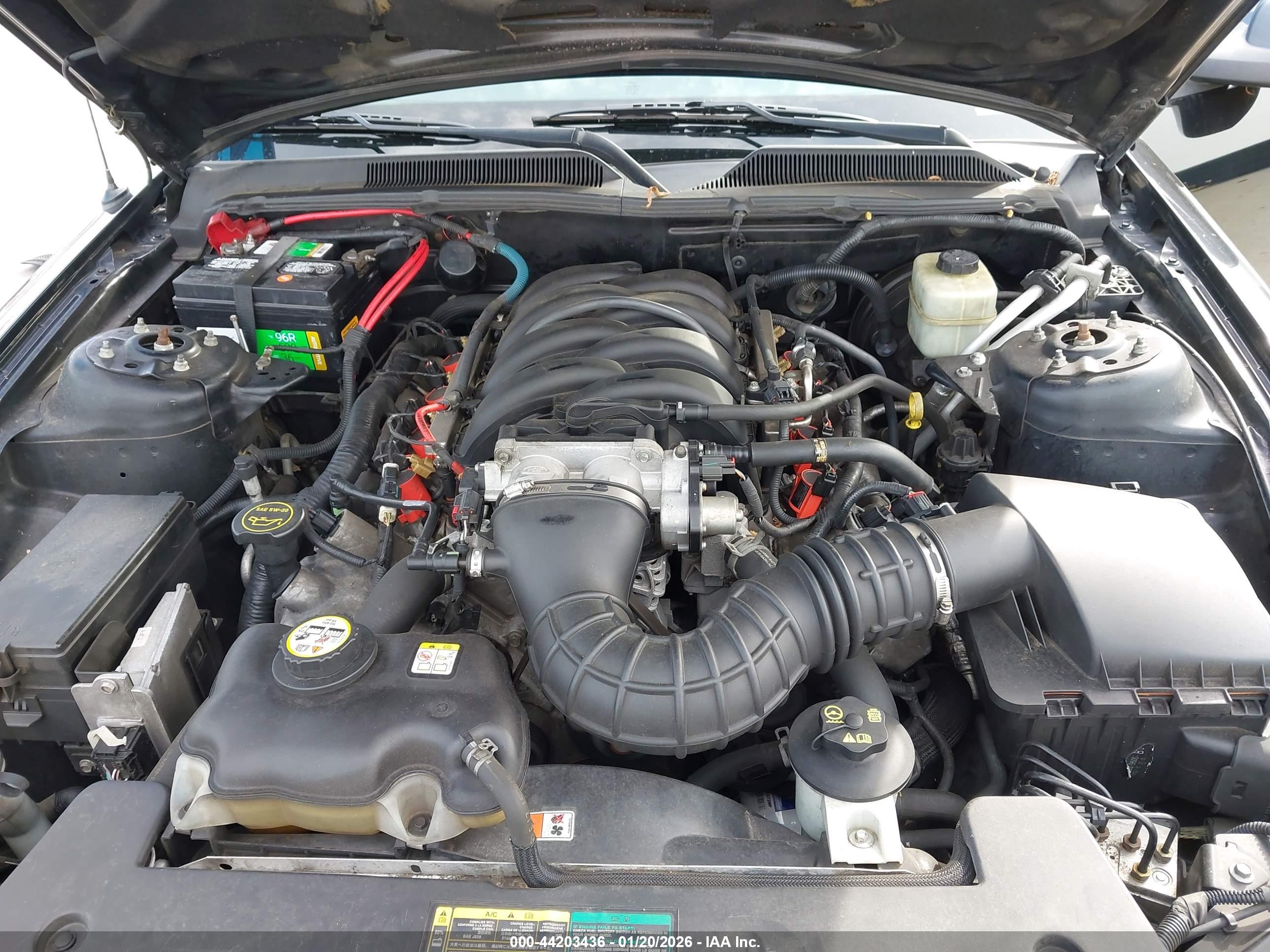 FORD MUSTANG image 10