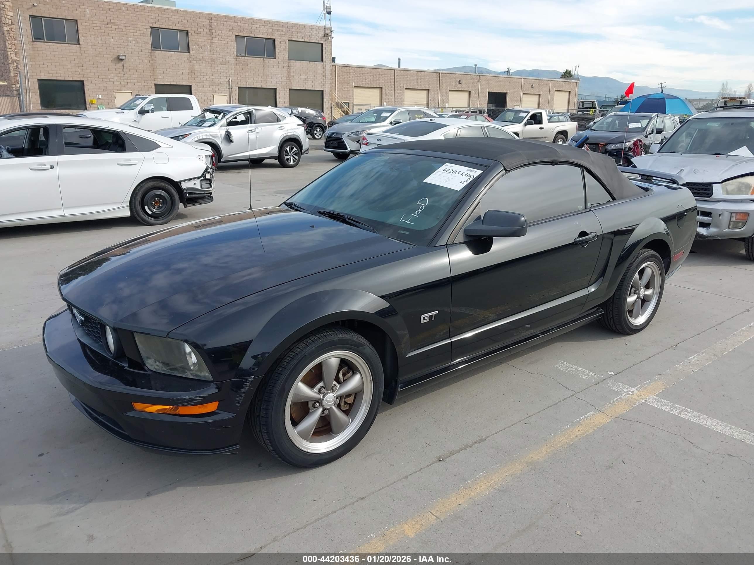 FORD MUSTANG image 2
