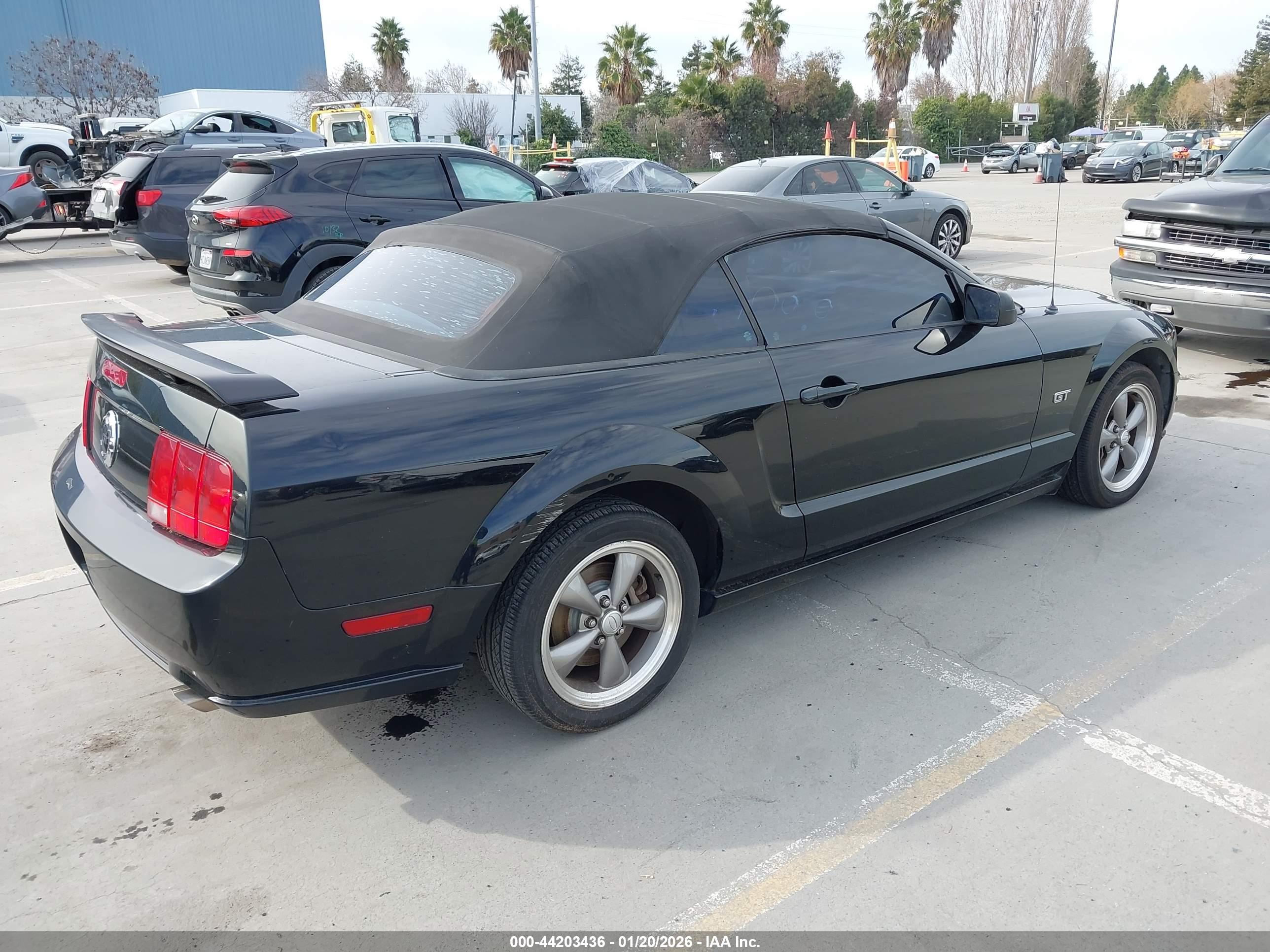 FORD MUSTANG image 4