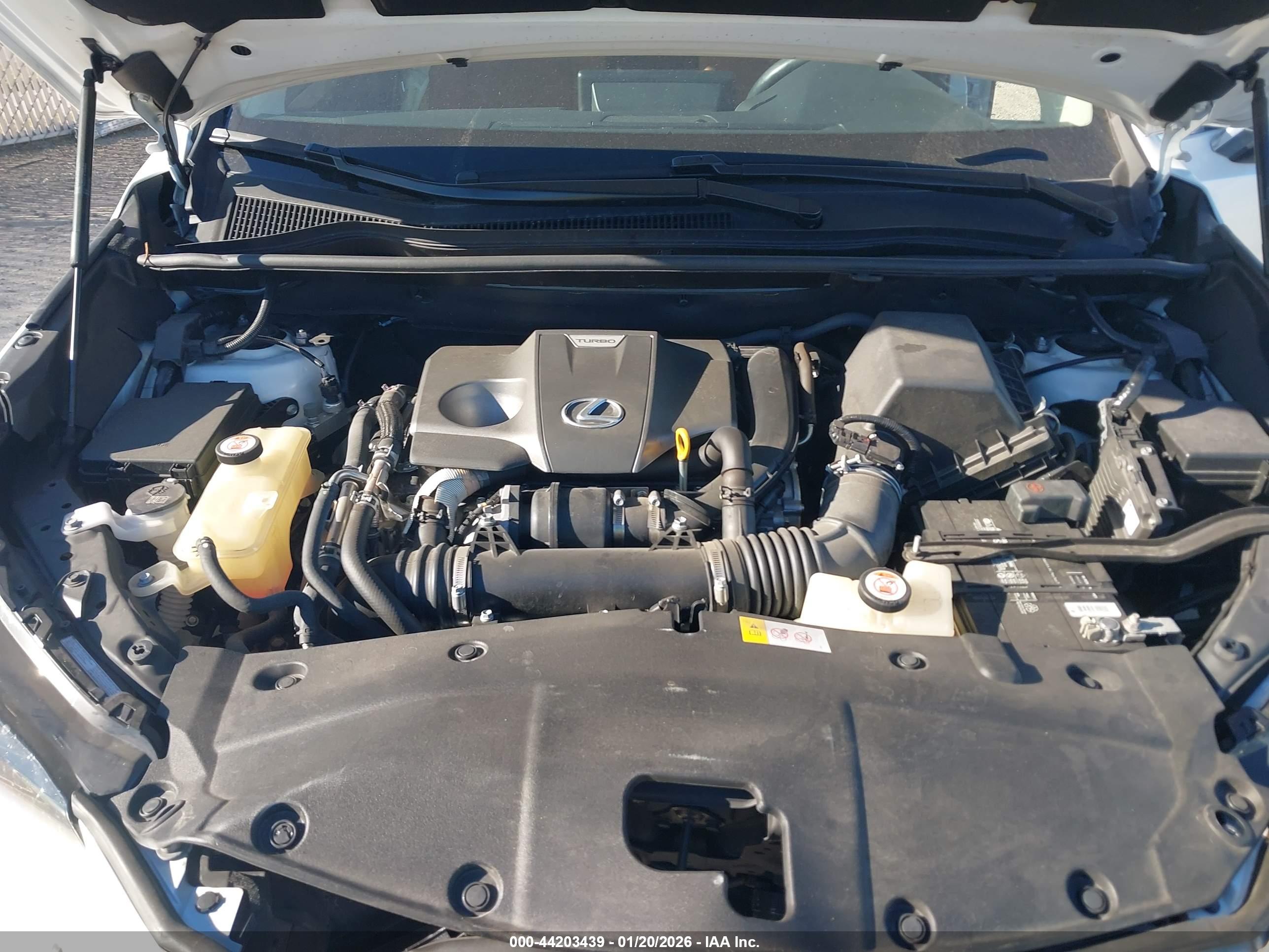 LEXUS NX image 10