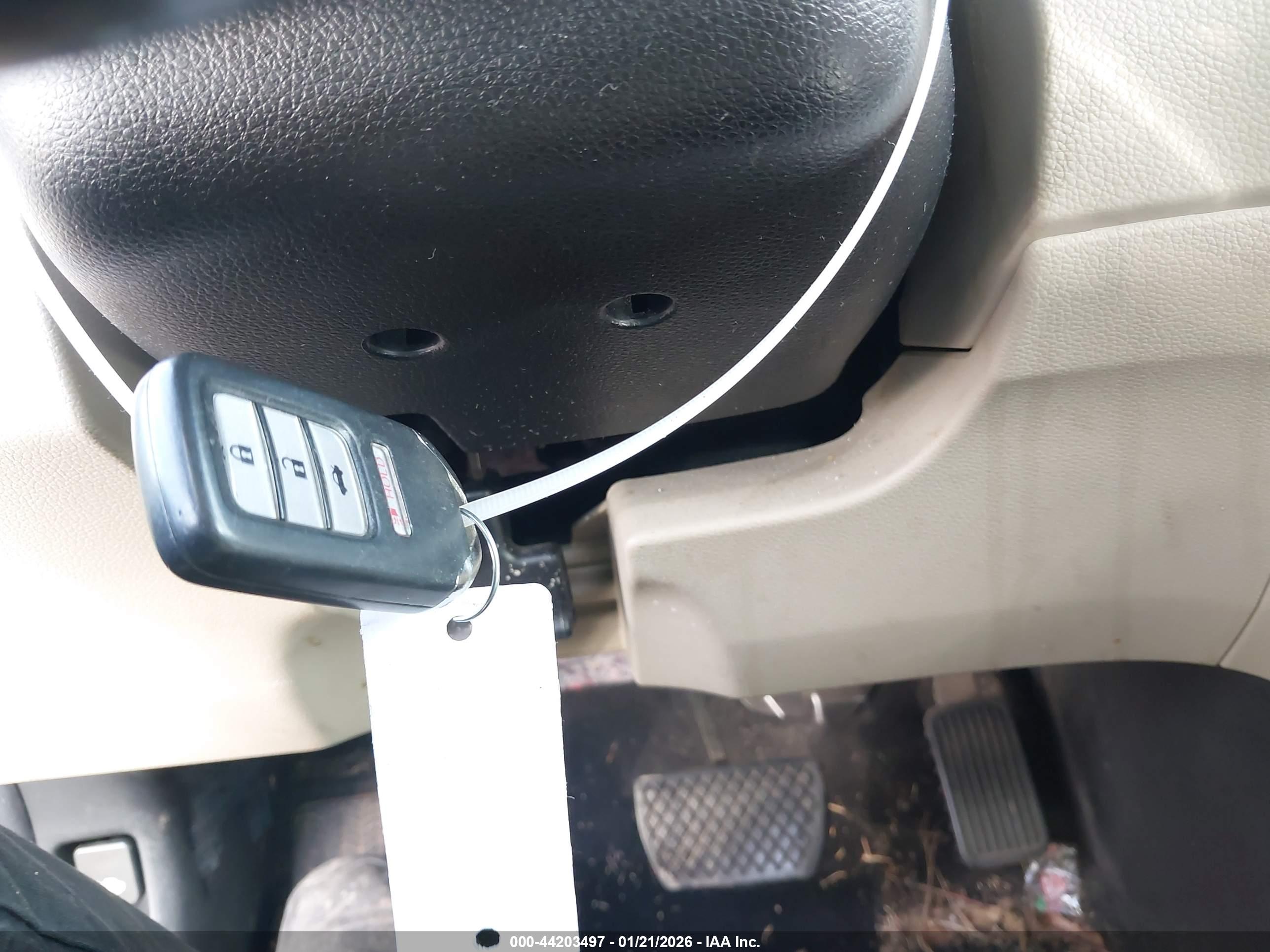 HONDA ACCORD image 11