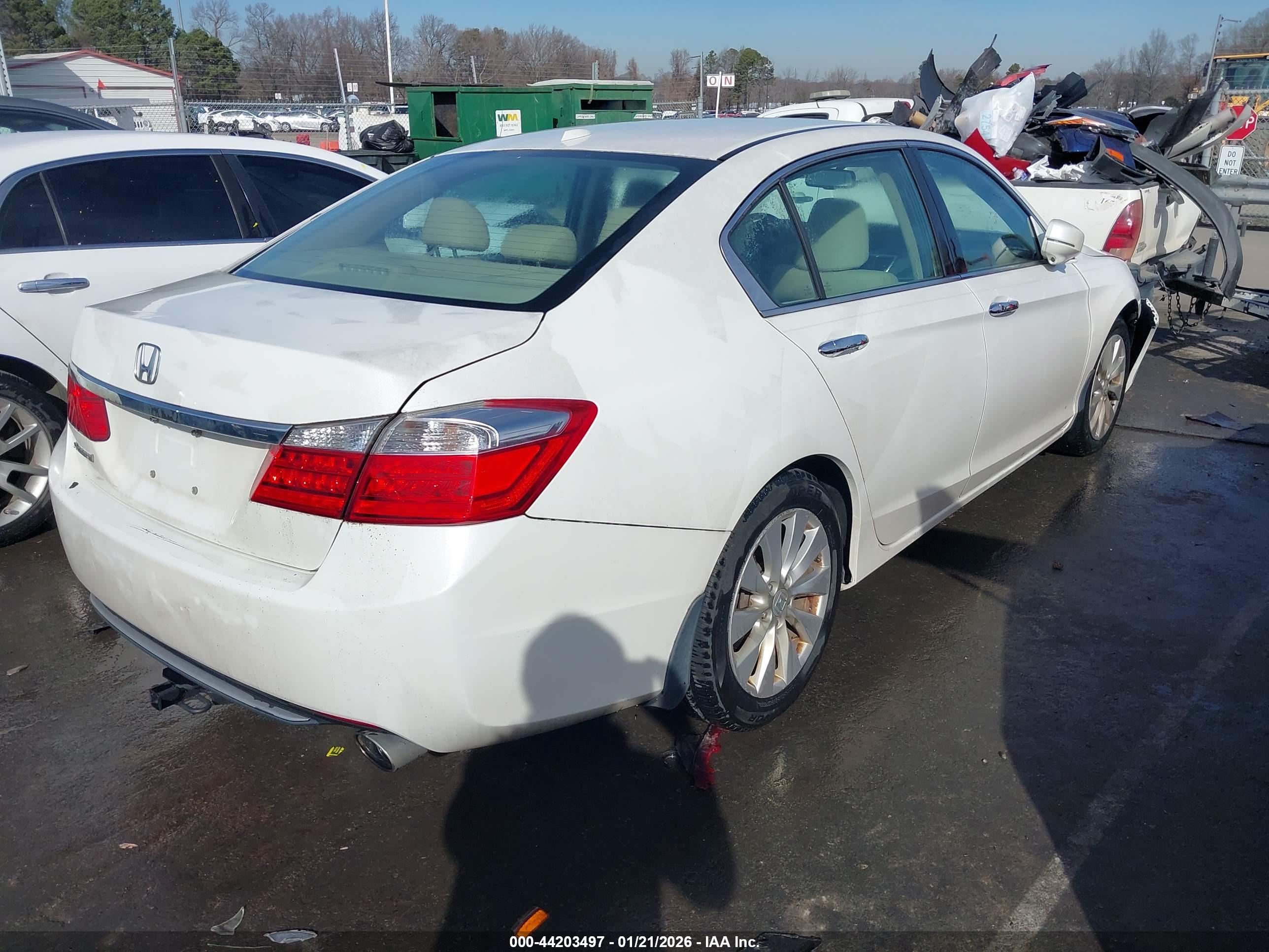 HONDA ACCORD image 4