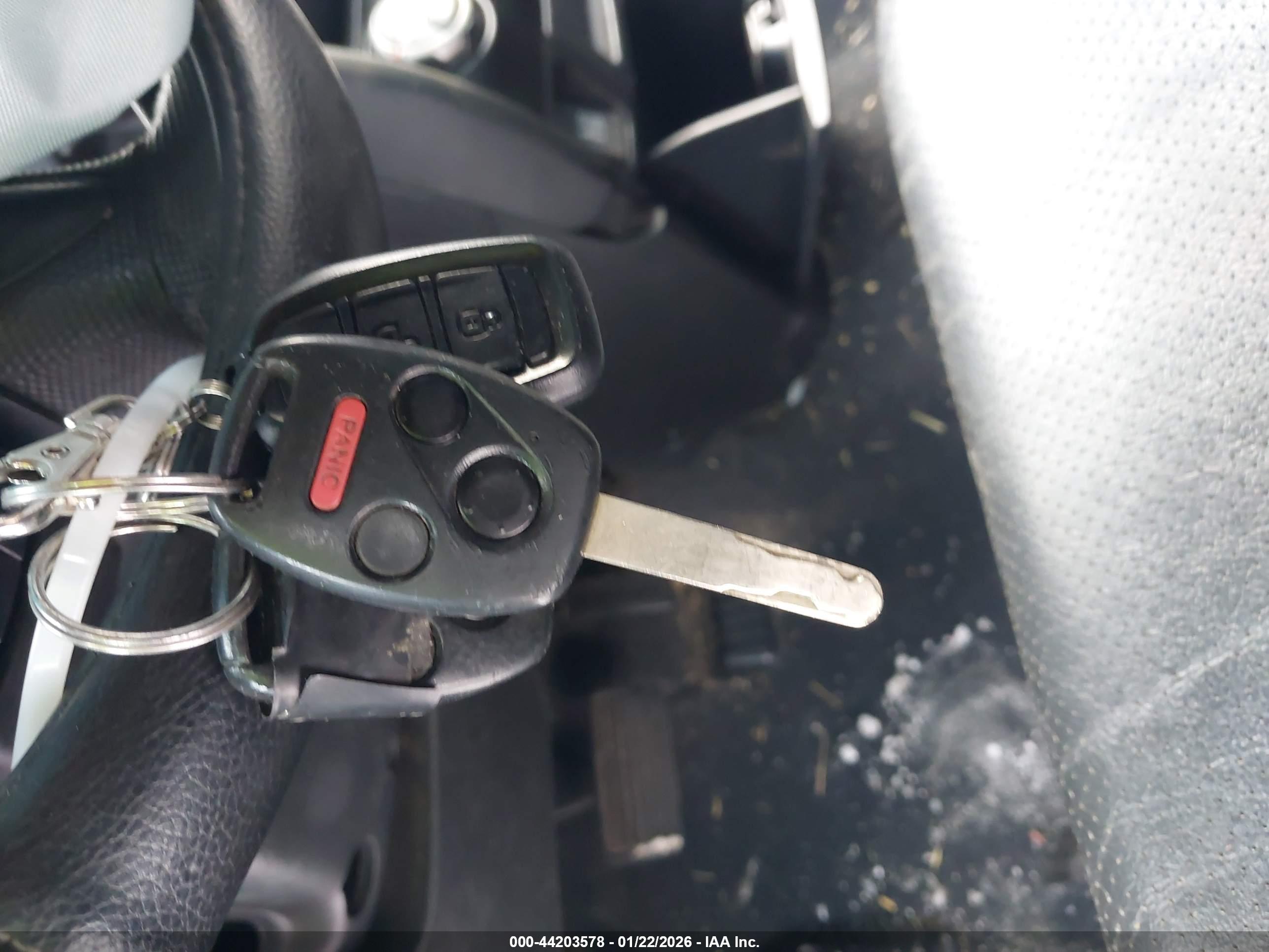 HONDA CR-V image 11