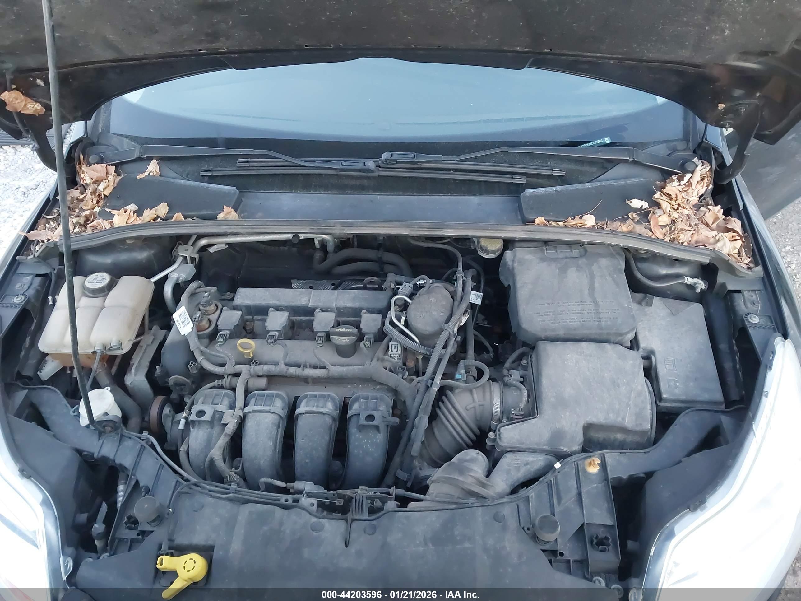 FORD FOCUS image 10