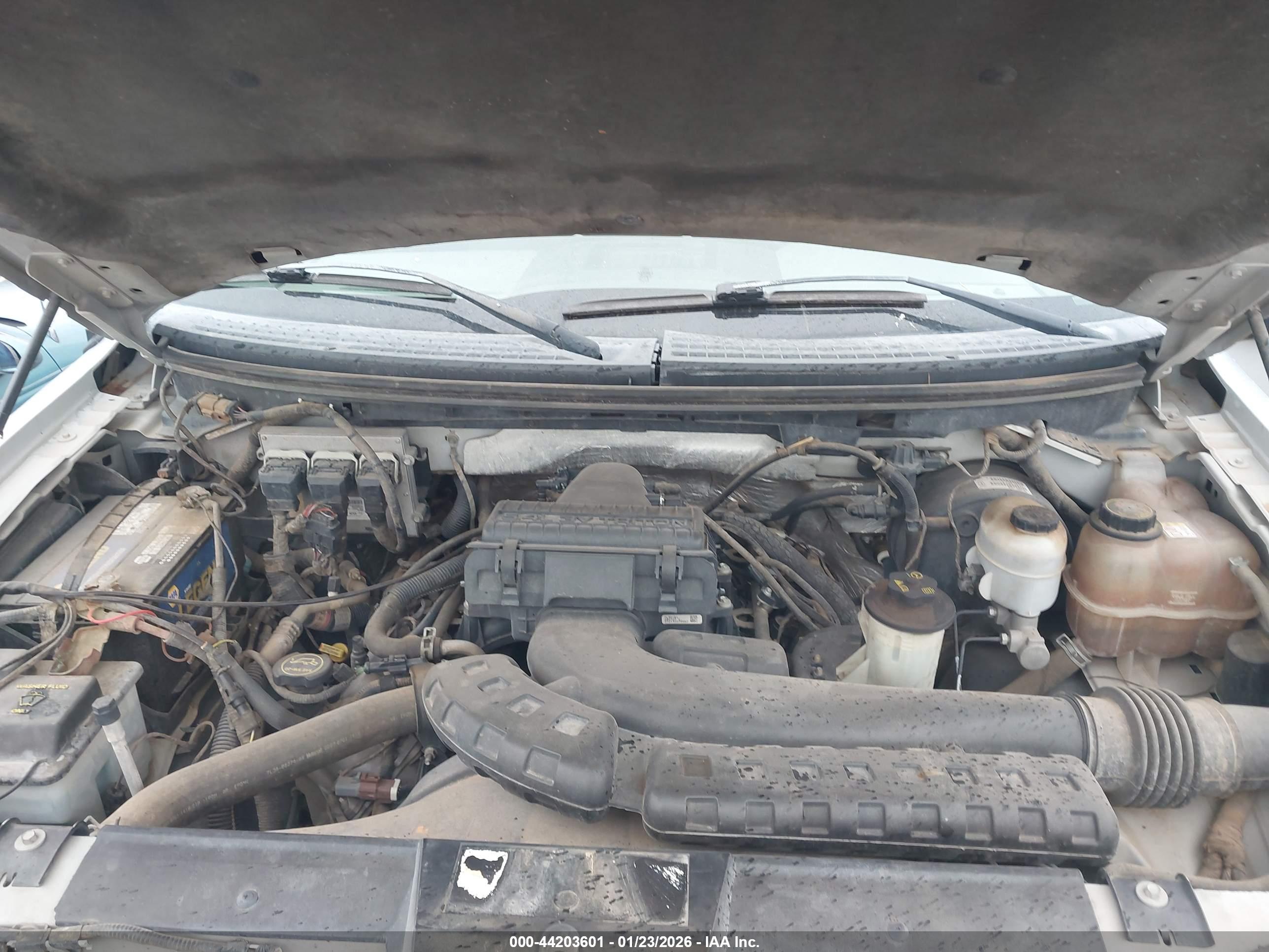 FORD F-150 image 10