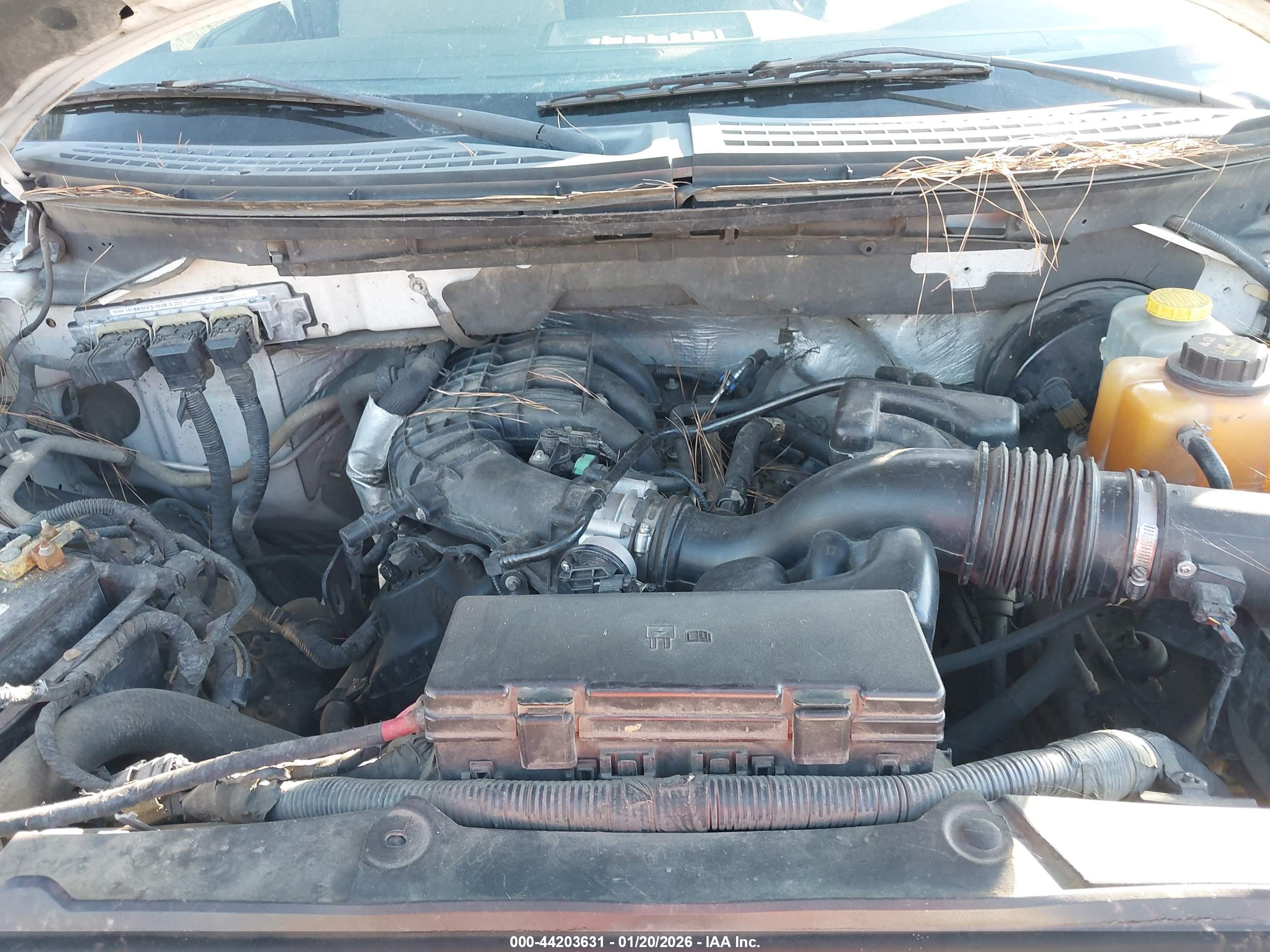 FORD F-150 image 10